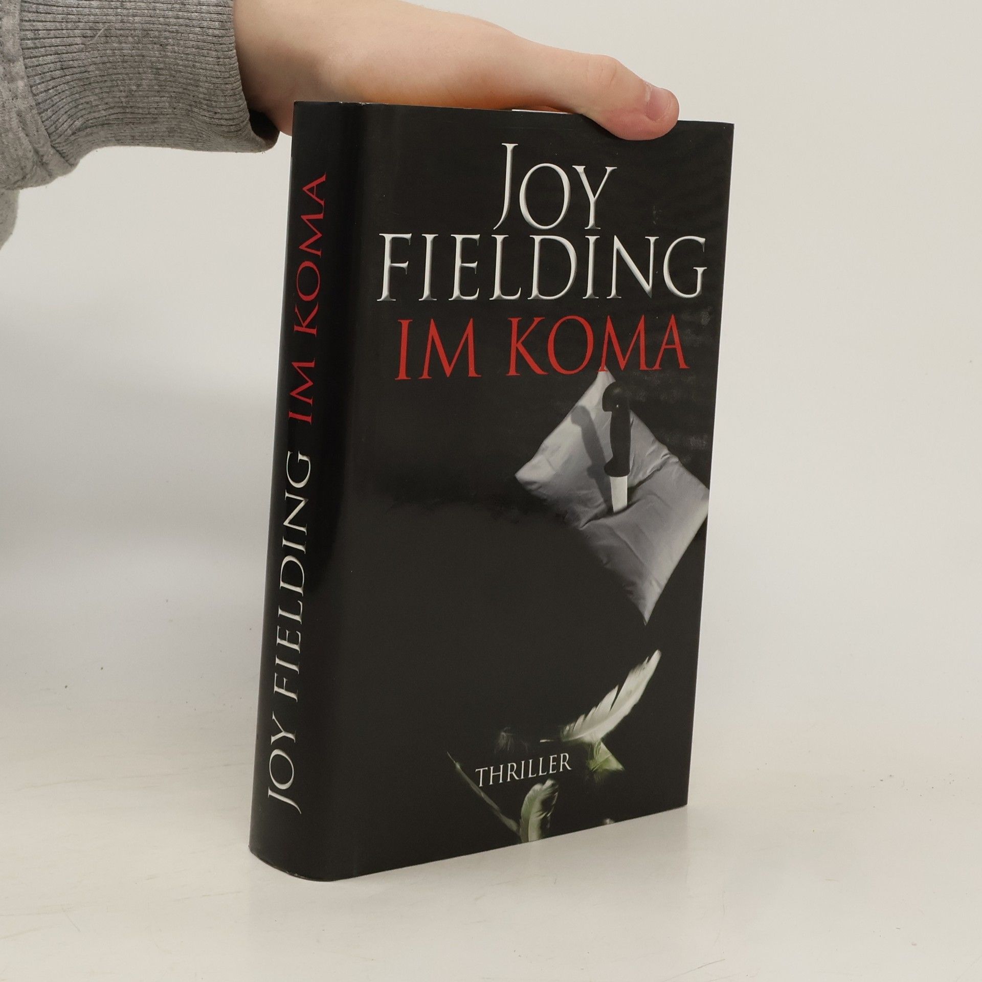 Joy Fielding Im Koma