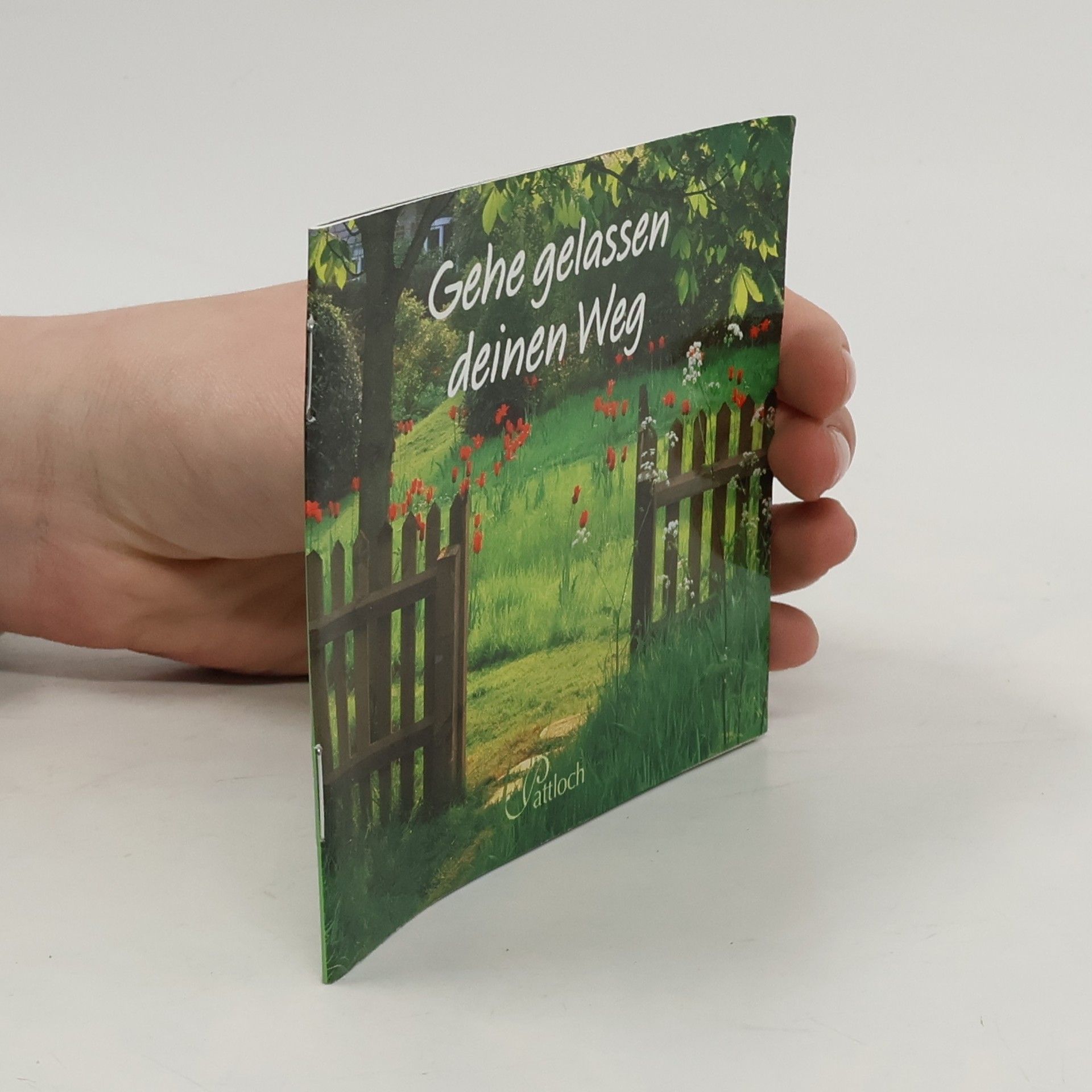 Kolektív autorov Gehe gelassen deinen Weg