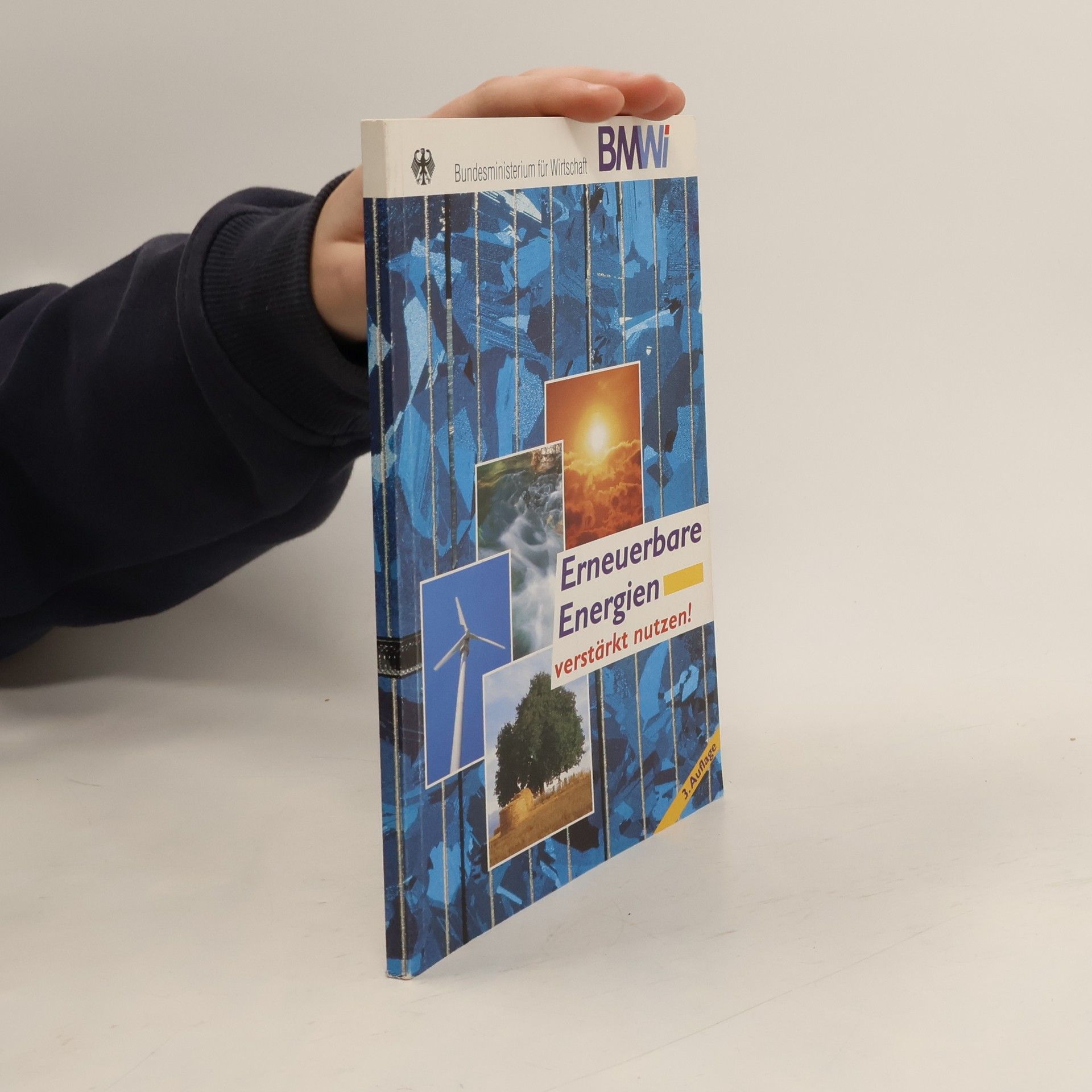 Collectif d'auteurs Erneuerbare Energien verstärkt nutzen!