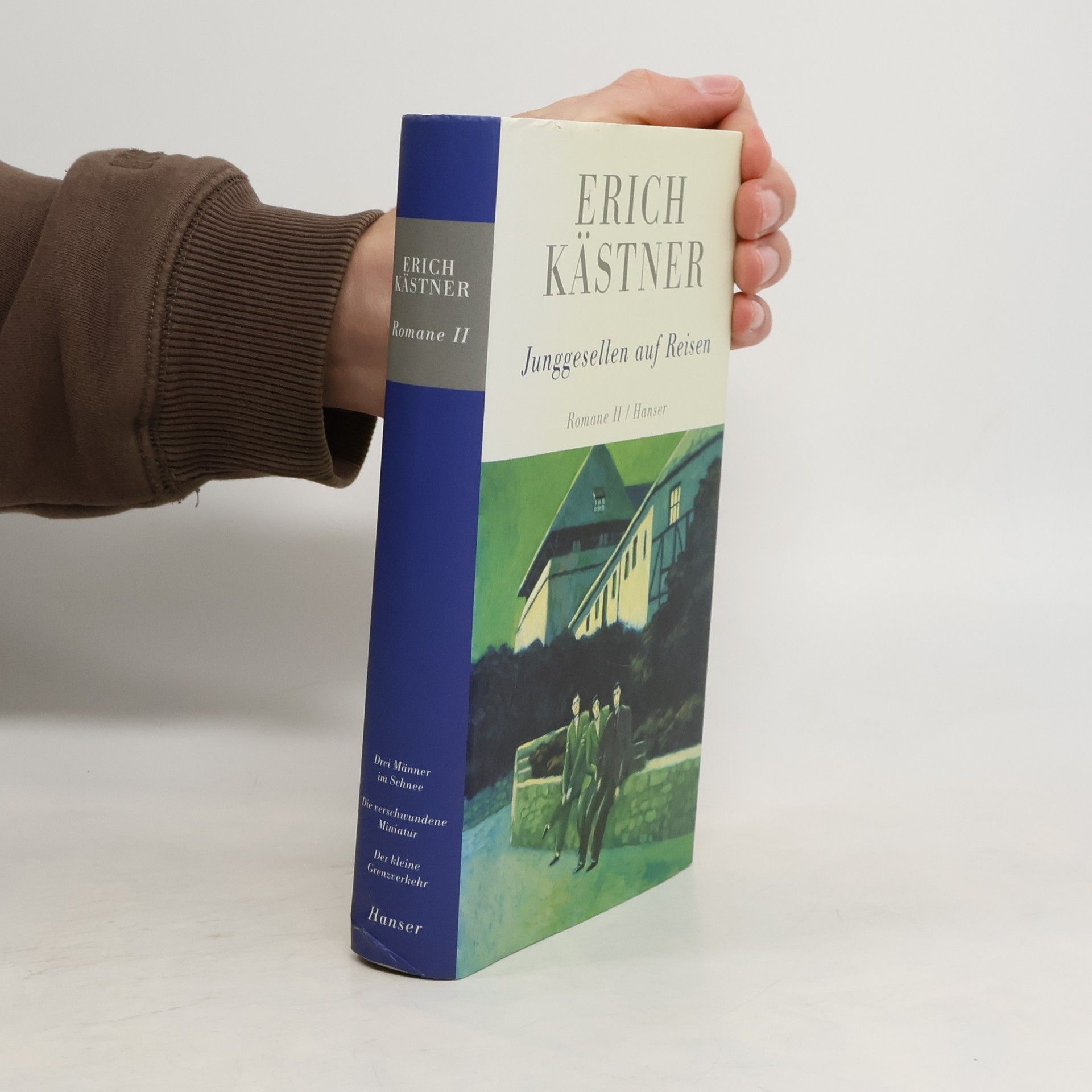 Möblierte Herren. Junggesellen auf Reisen, 2 Bde.