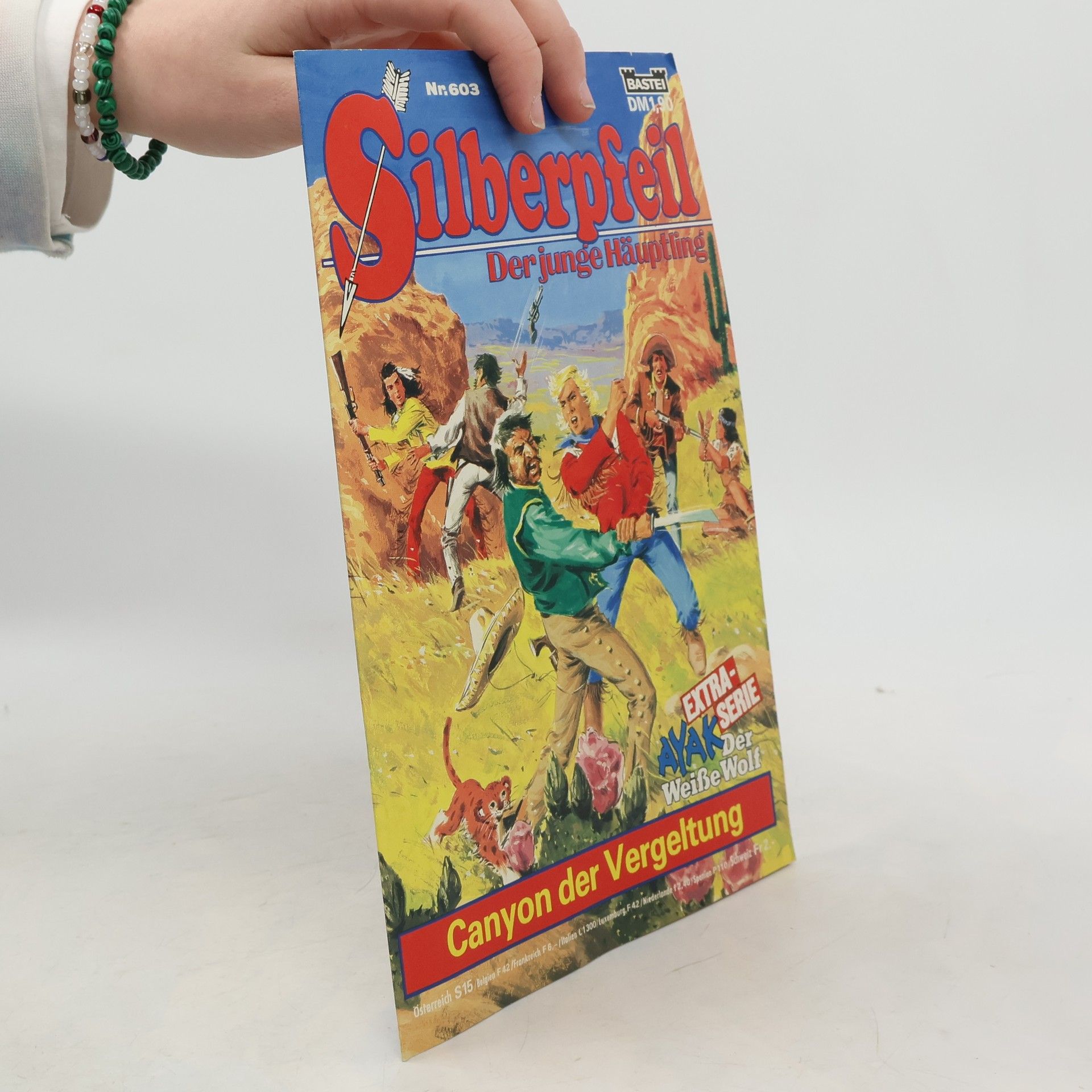 Autores varios Silberpfeil 603: Der junge Häuptling