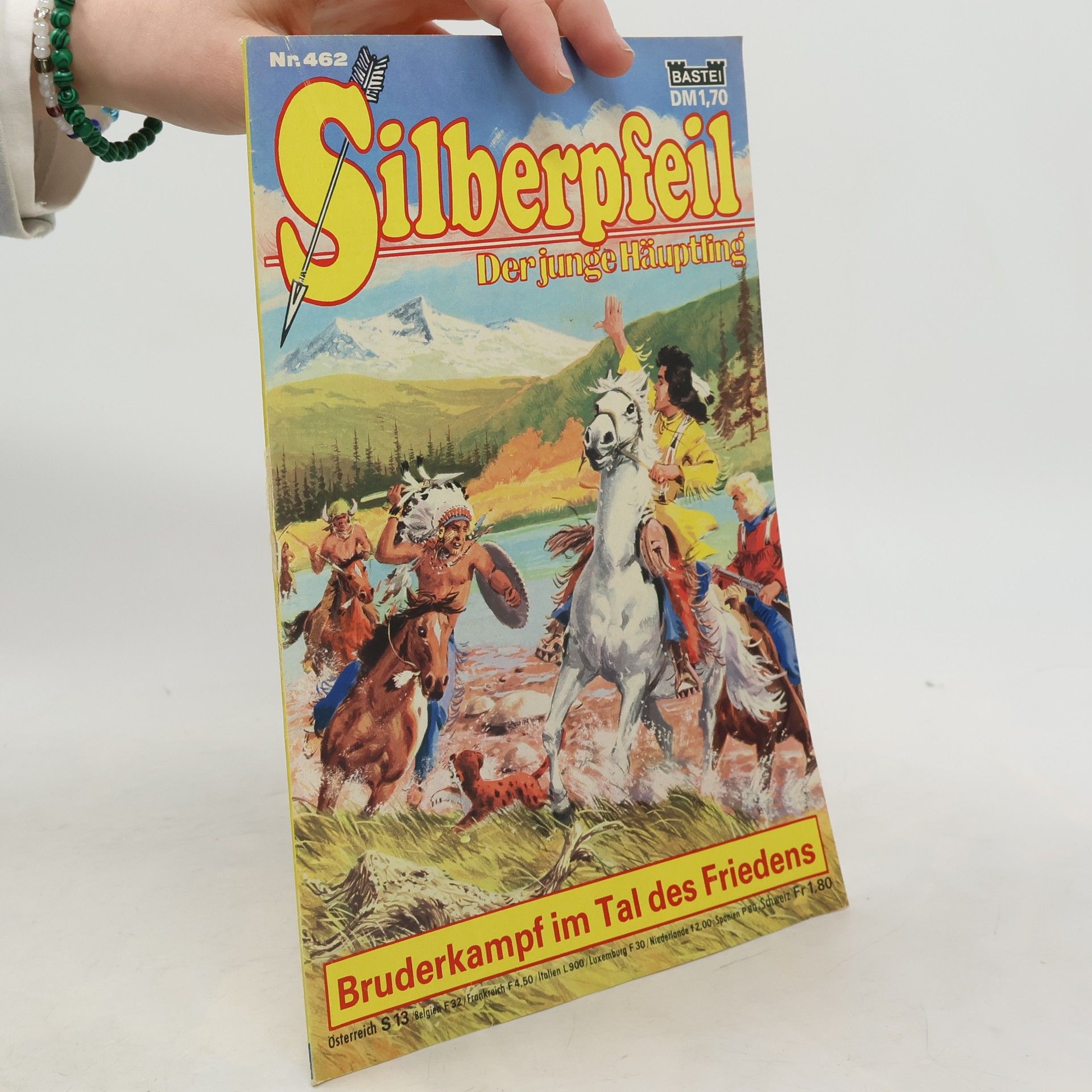 Kolektív autorov Silberpfeil 462: Der junge Häuptling