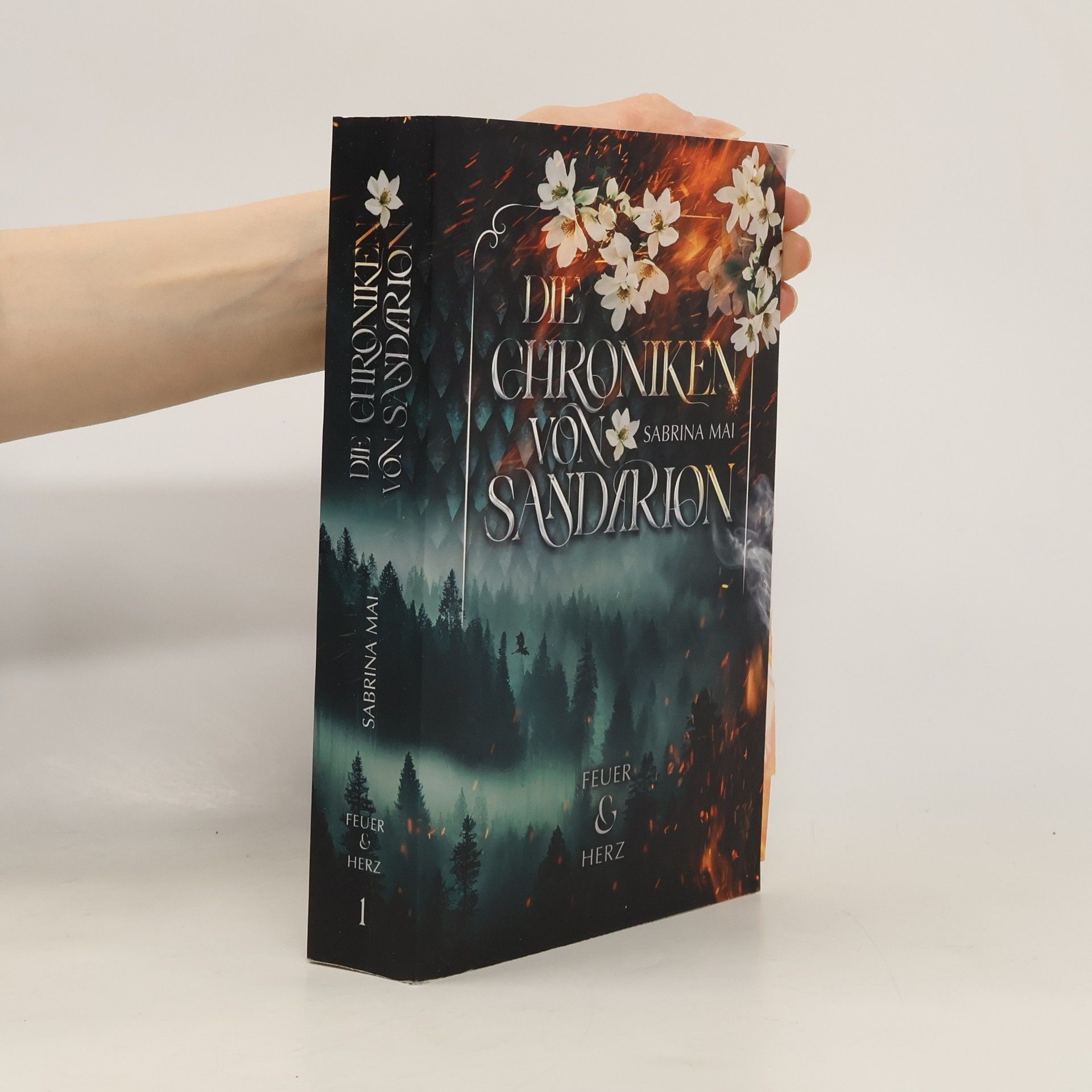 Sabrina Mai Die Chroniken von Sandarion. Feuer & Herz
