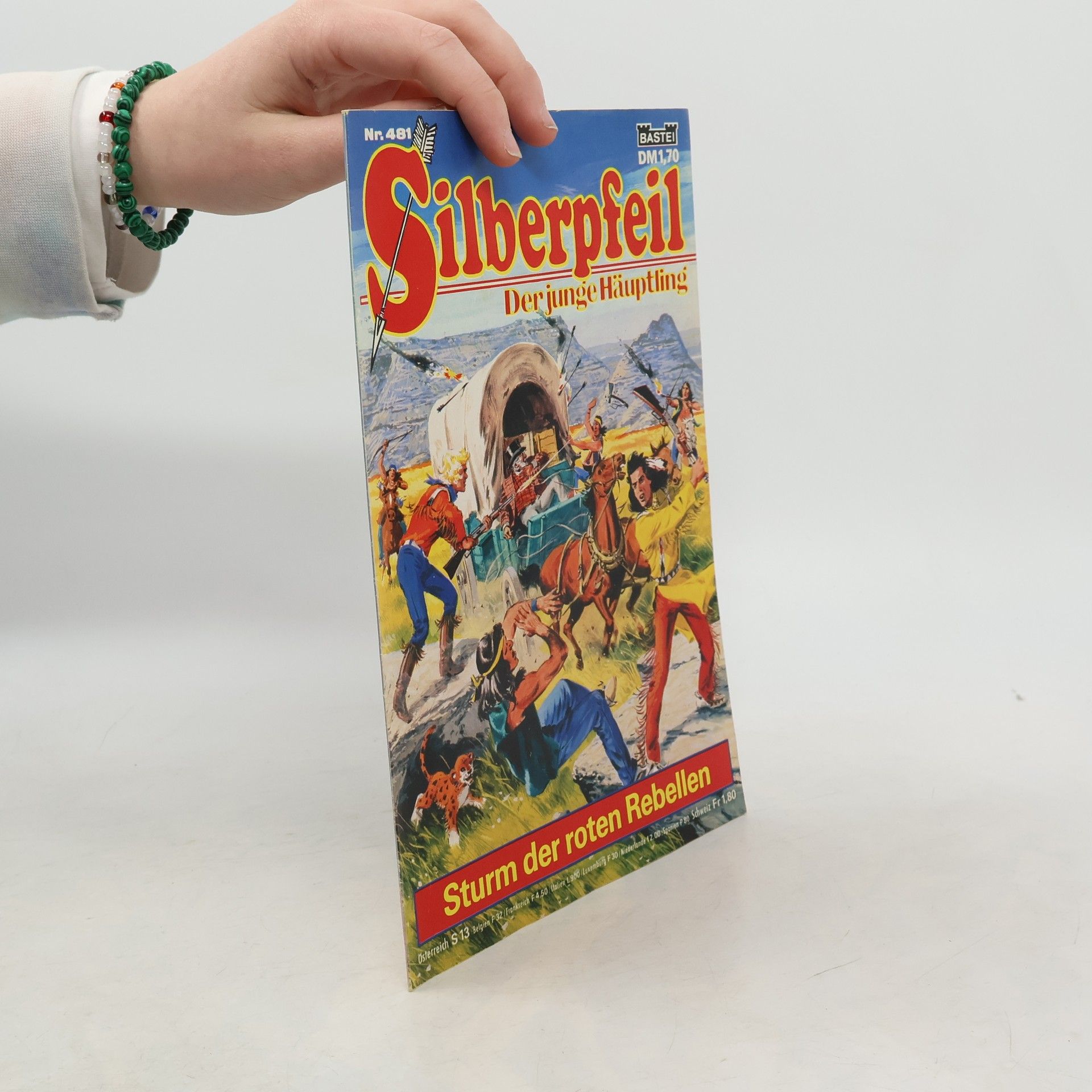 Autores varios Silberpfeil 481: Der junge Häuptling