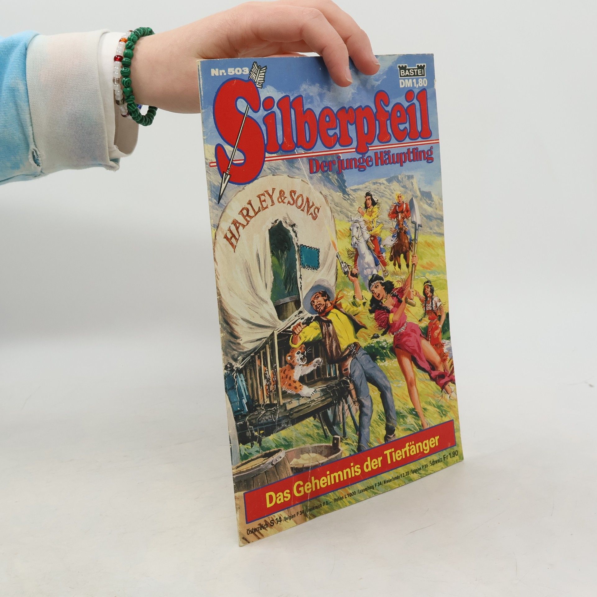 Autores varios Silberpfeil 503: Der junge Häuptling