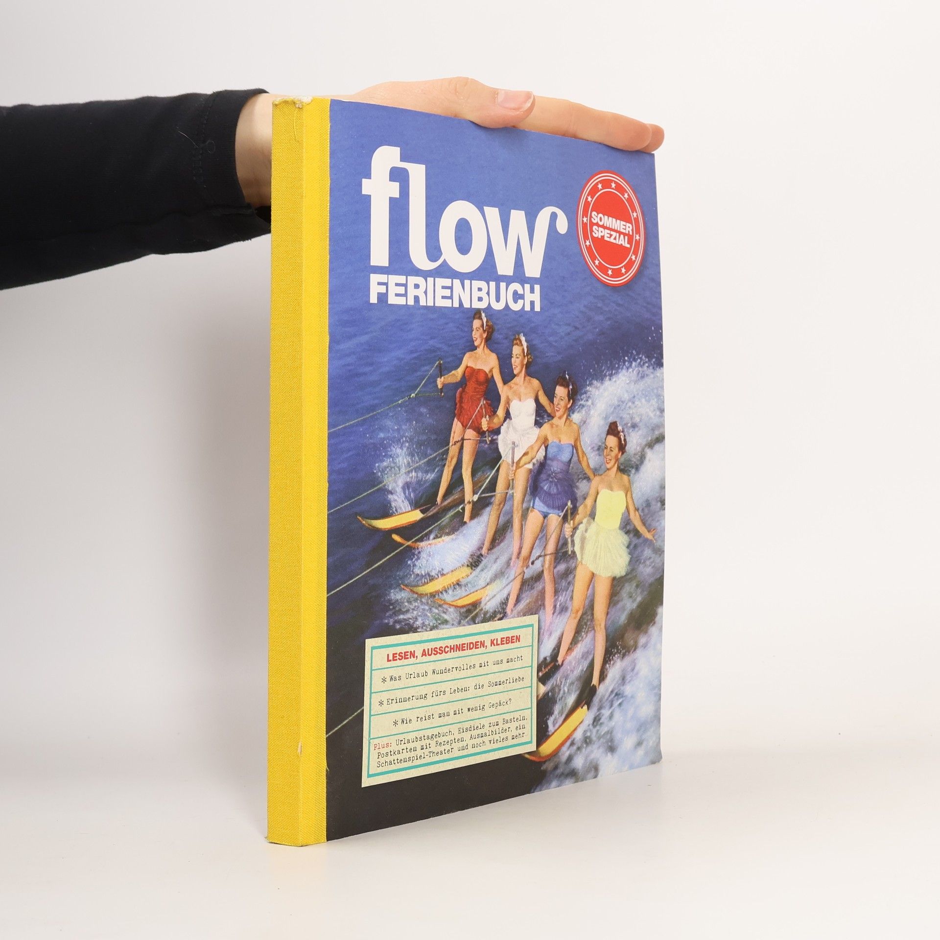 Collectif d'auteurs Flow Ferienbuch