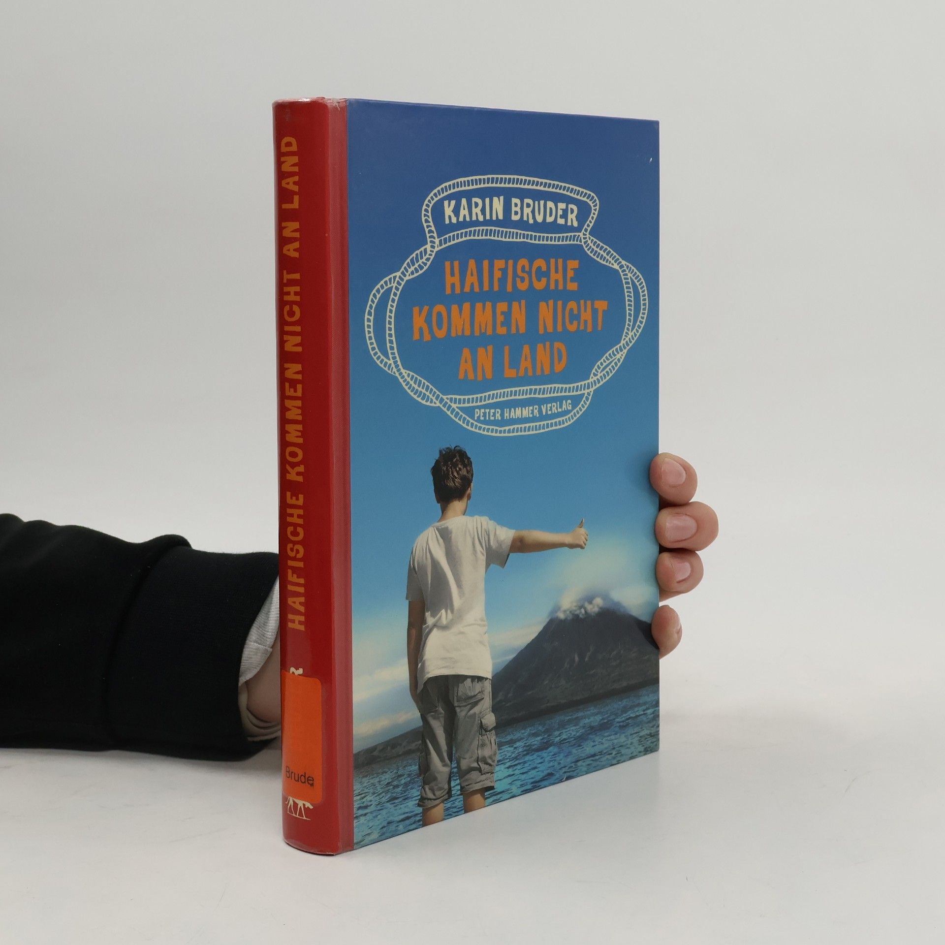 Karin Bruder Haifische kommen nicht an Land