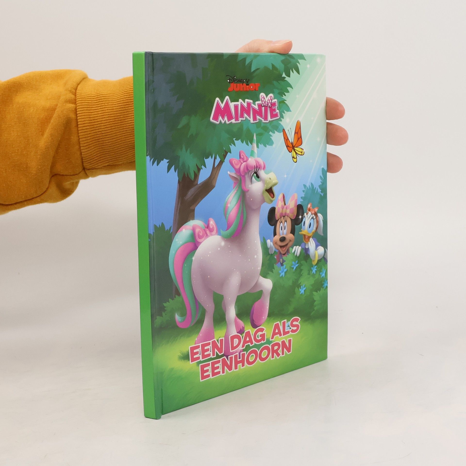 Autorenkollektiv Een dag als eenhoorn