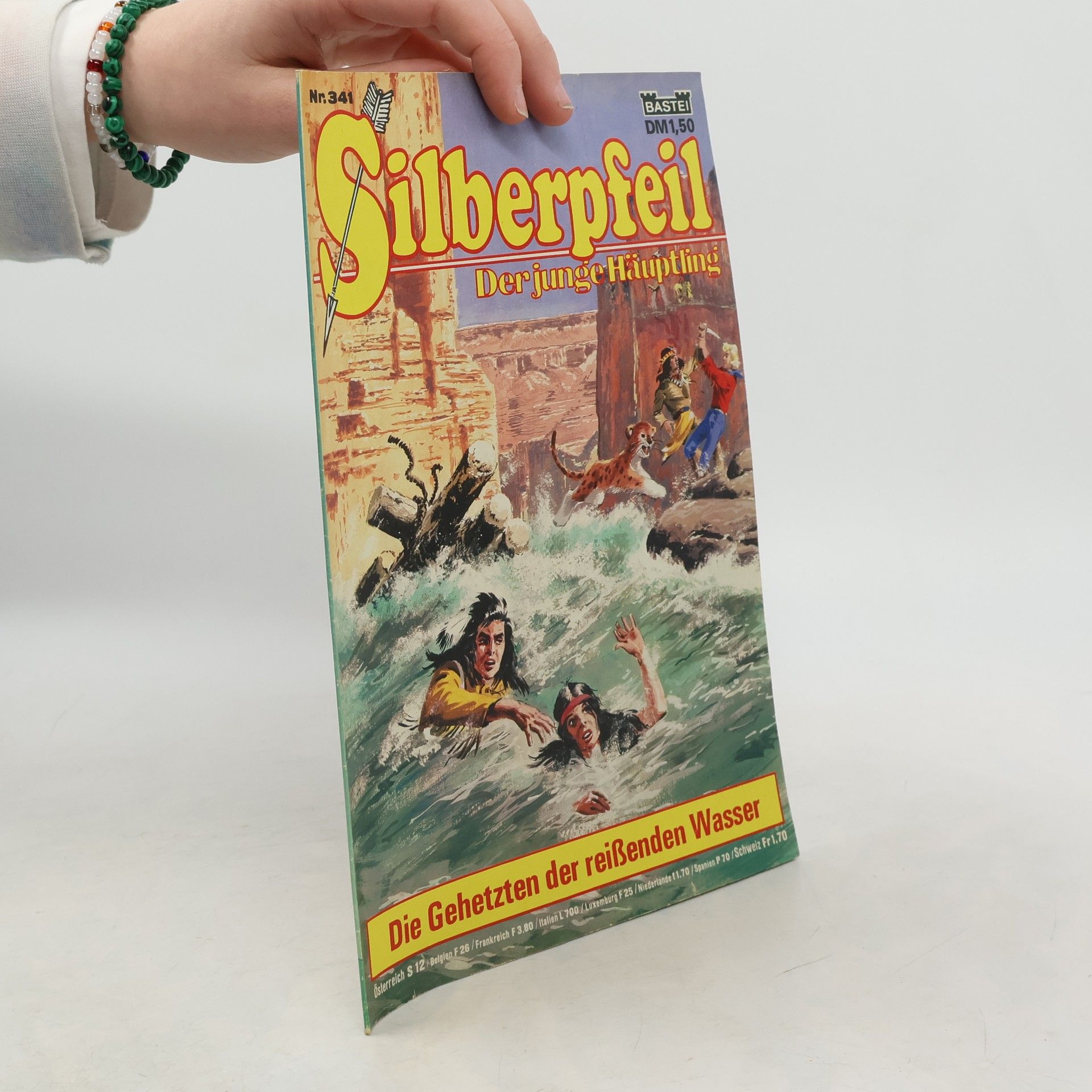 Autores varios Silberpfeil 341: Der junge Häuptling