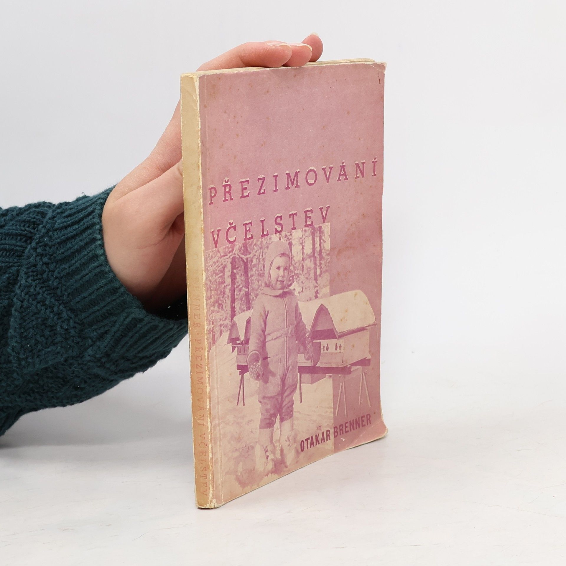 Přezimování včelstev