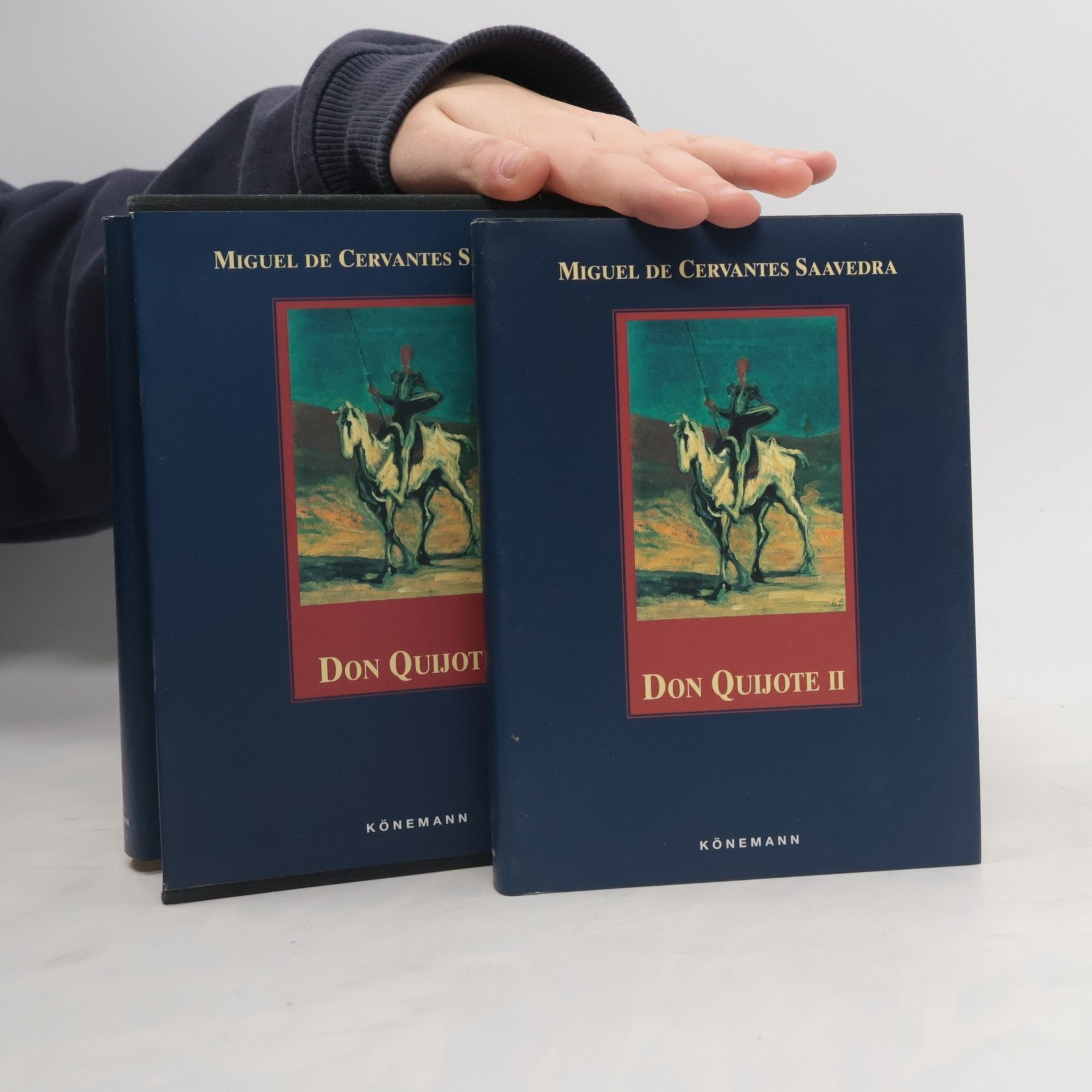 Miguel de Cervantes Saavedra Der sinnreiche Junker Don Quijote von der Mancha