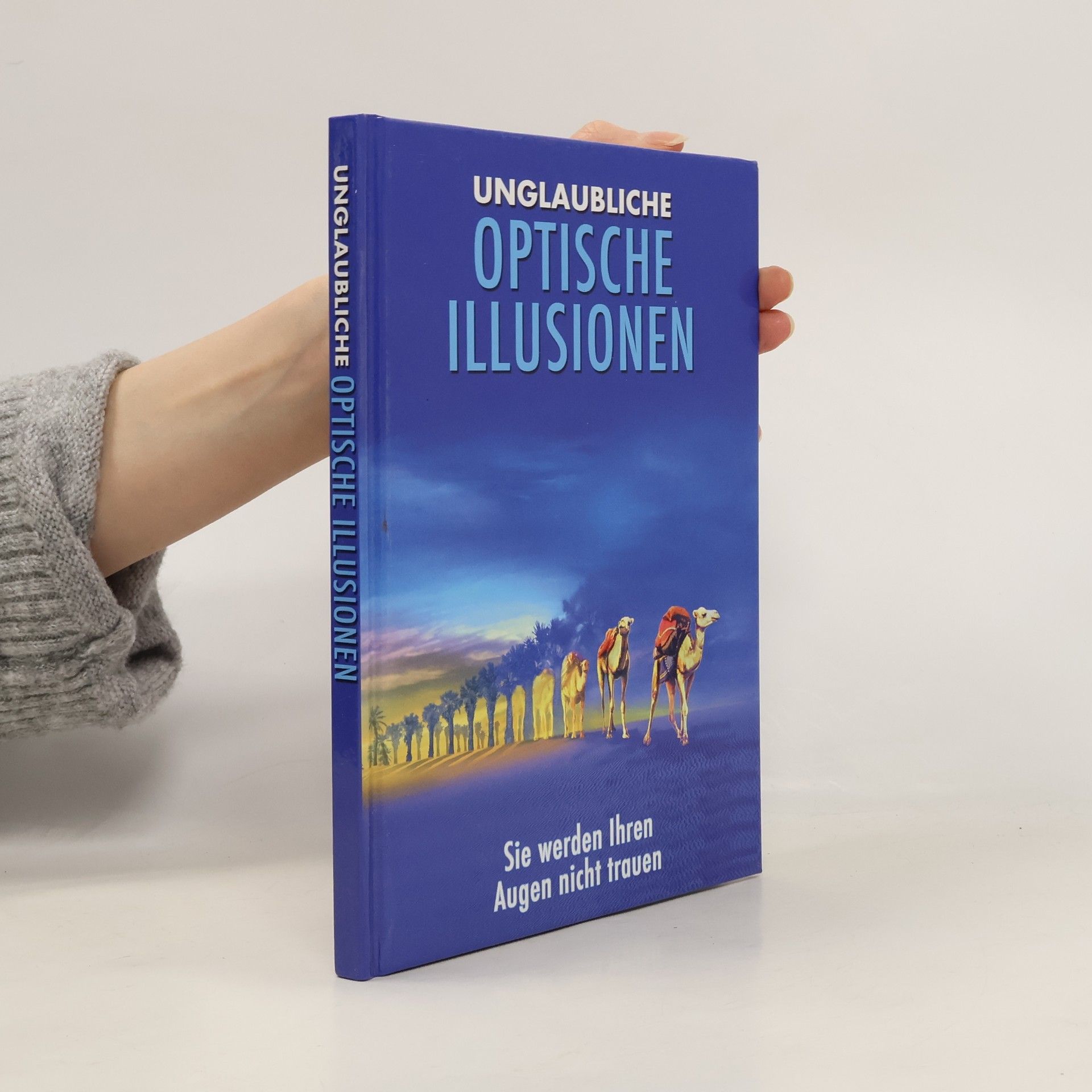 Kolektiv autorů Optische illusionen