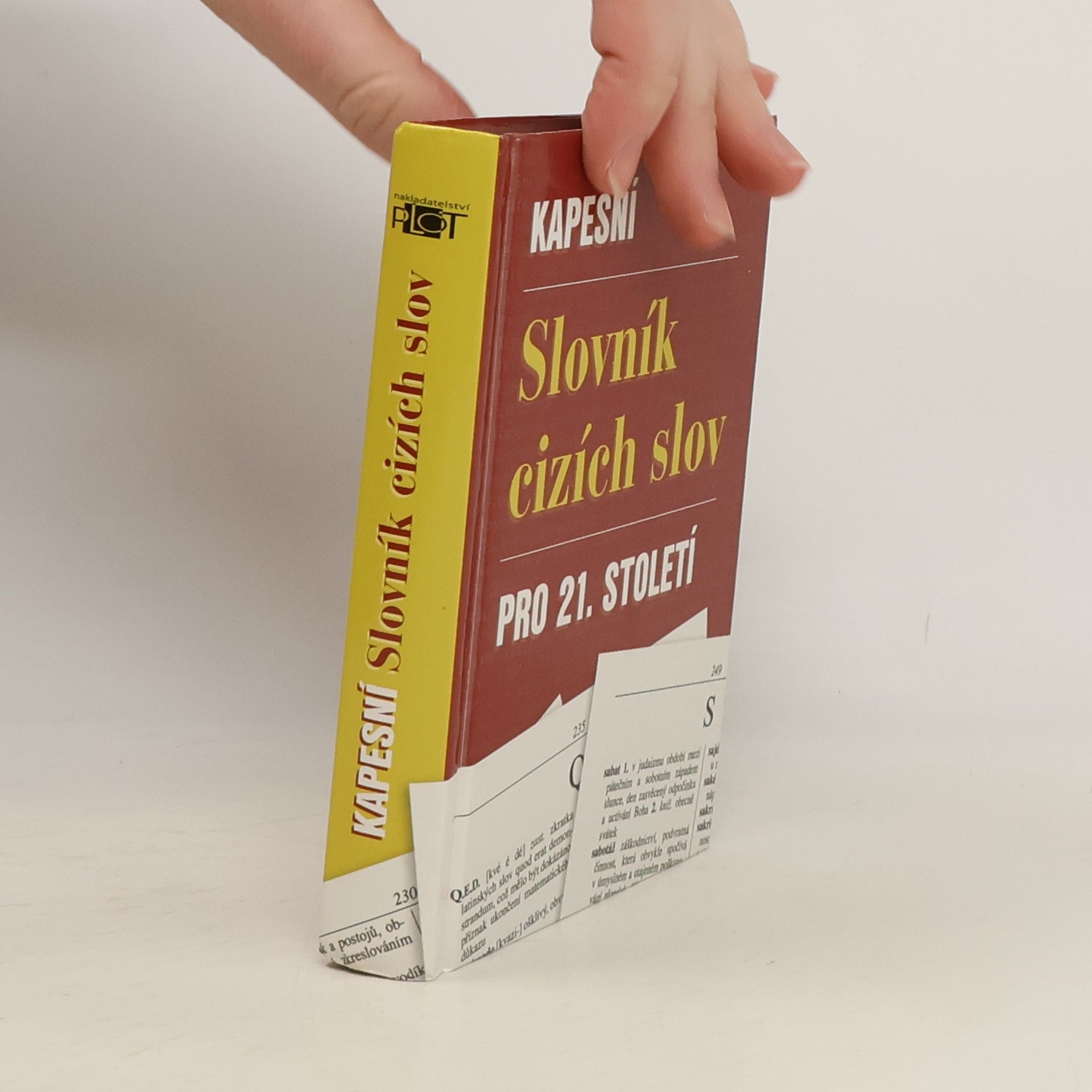 Collectif d'auteurs Kapesní slovník cizích slov pro 21.století