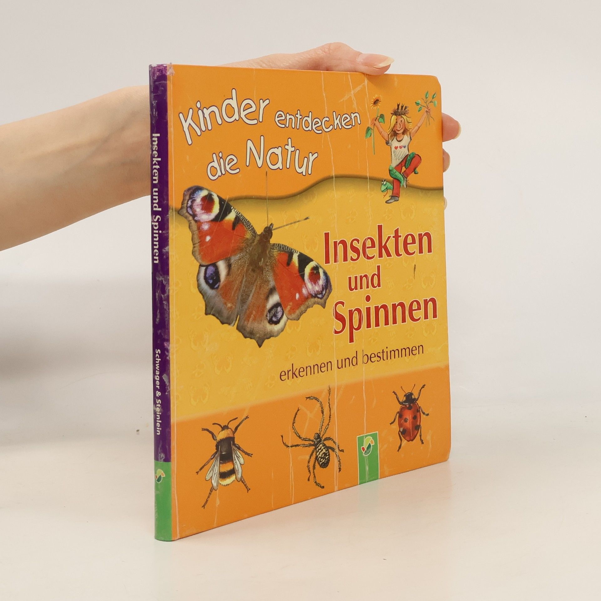 Kinder entdecken die Natur: Insekten und Spinnen erkennen und bestimmen