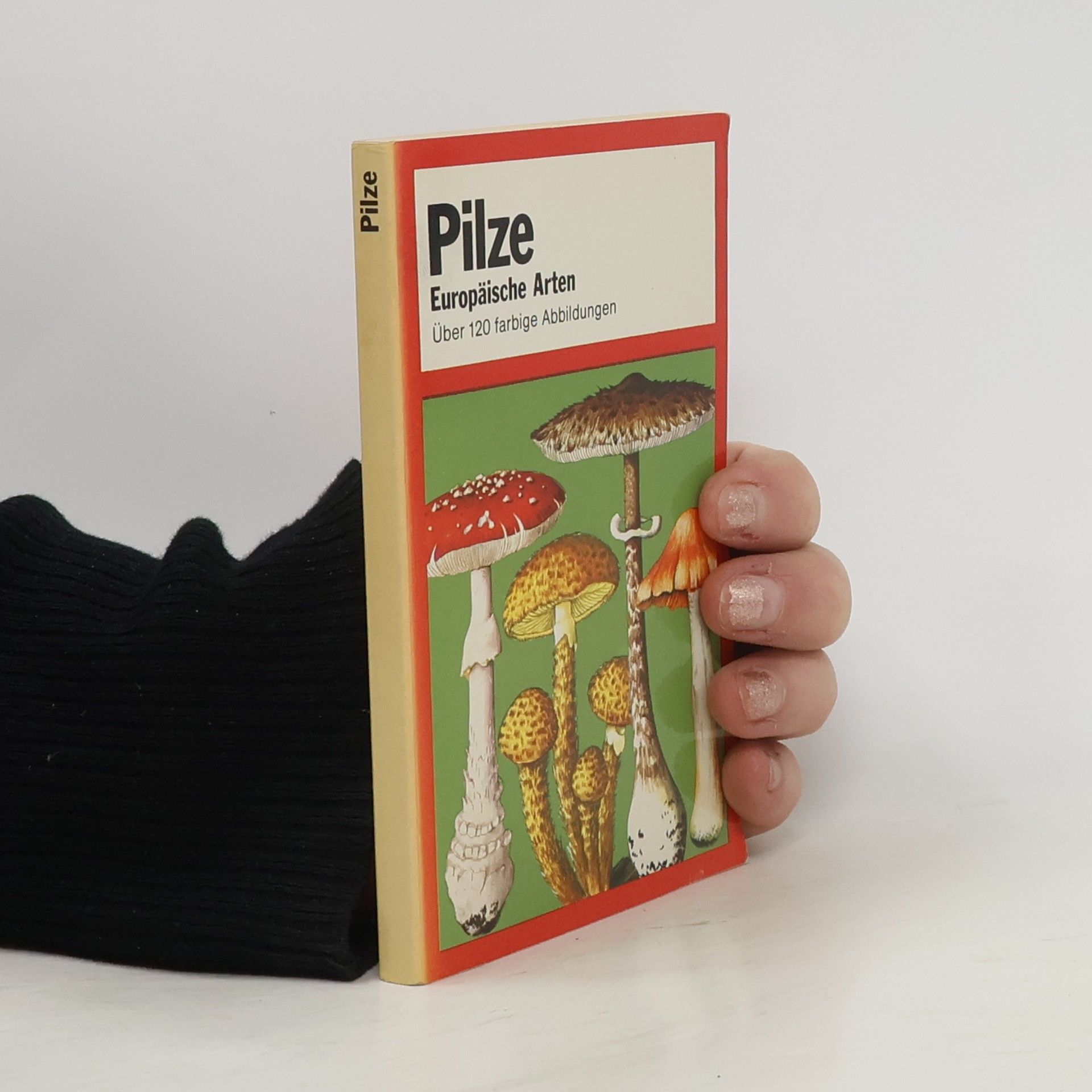 Kolektív autorov Pilze