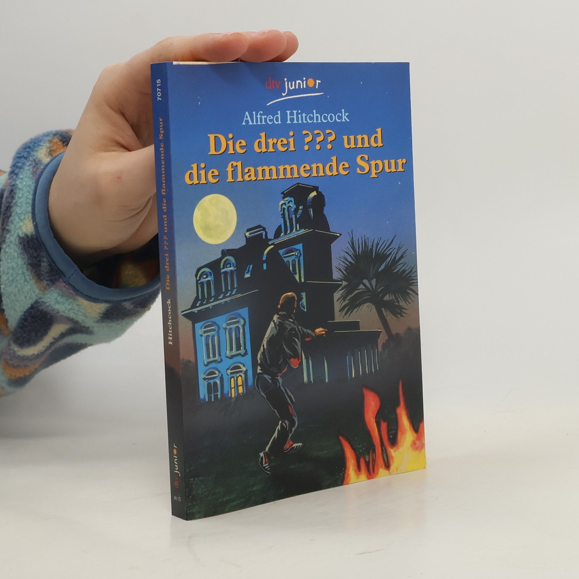 Mary Virginia Carey Die drei ??? und die flammende Spur