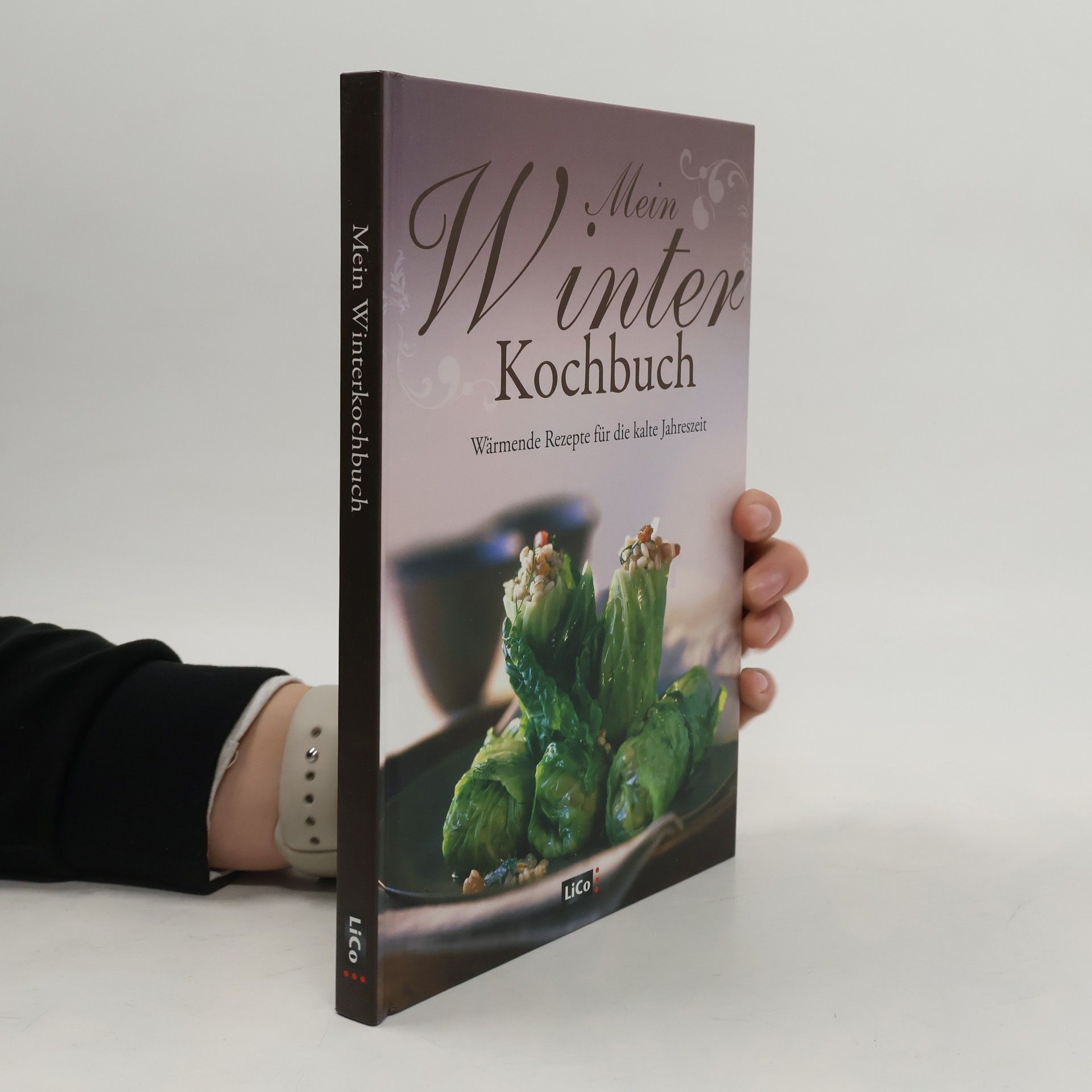 Kolektív autorov Mein Winterkochbuch