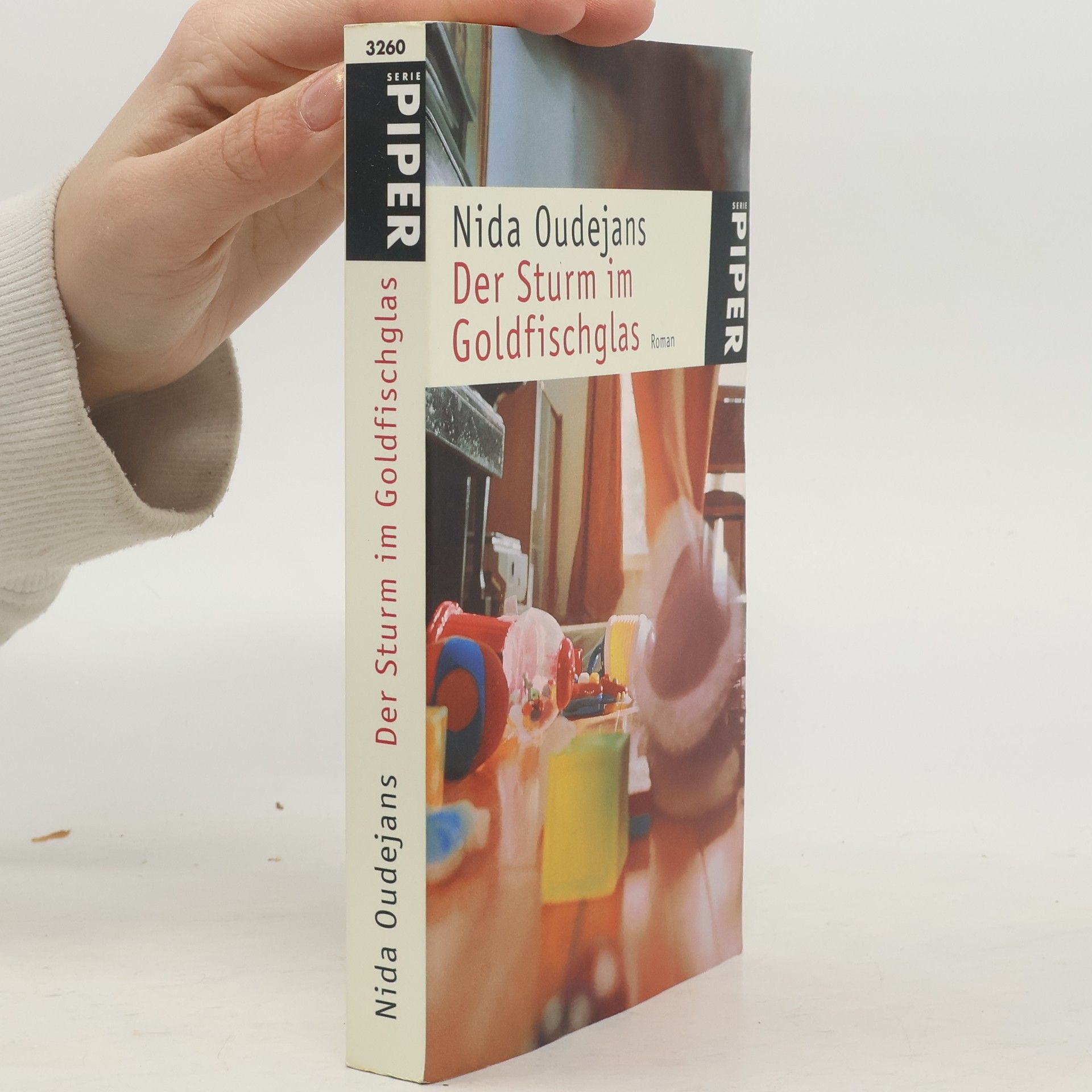Nida Oudejans Der Sturm im Goldfischglas