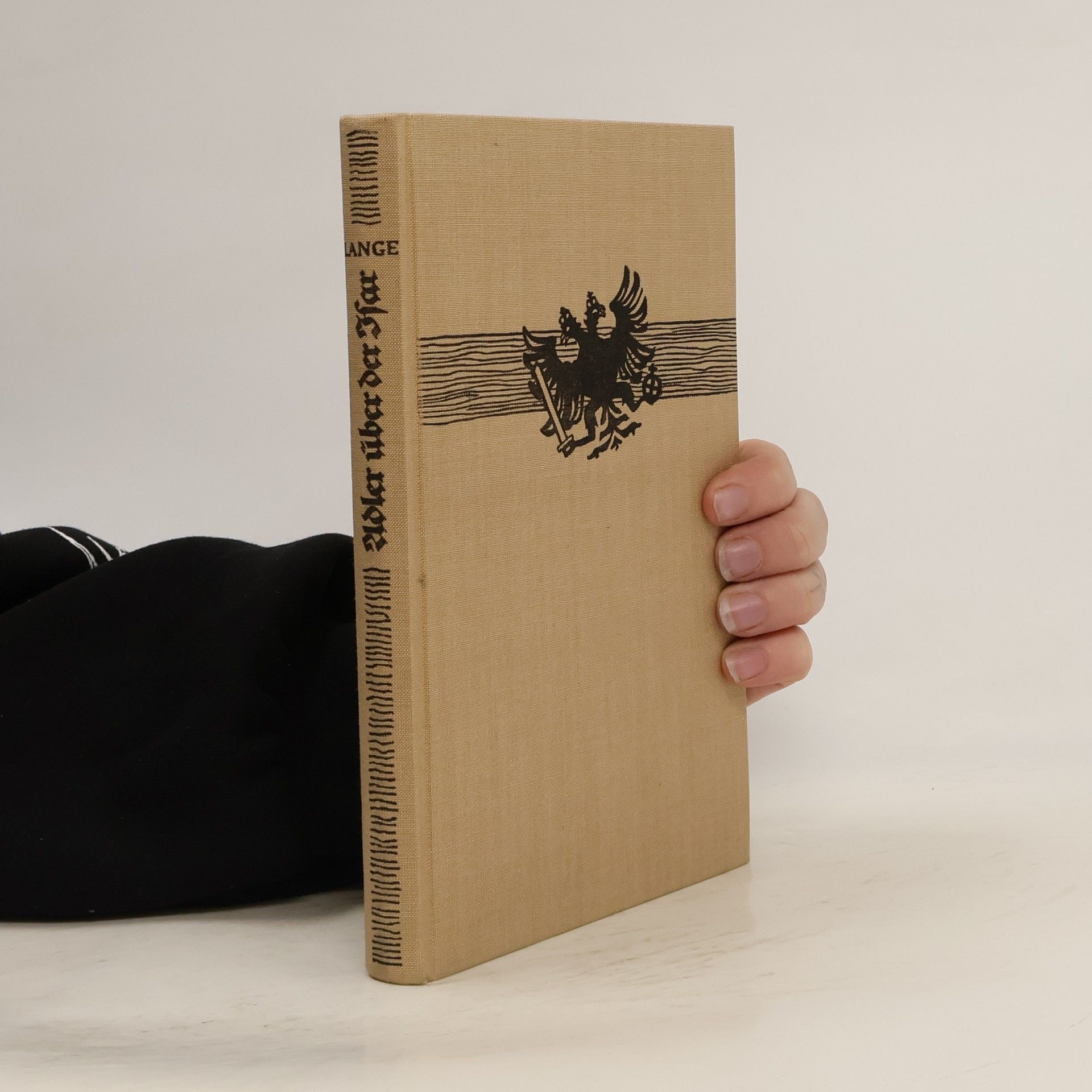 Adler über der Isar