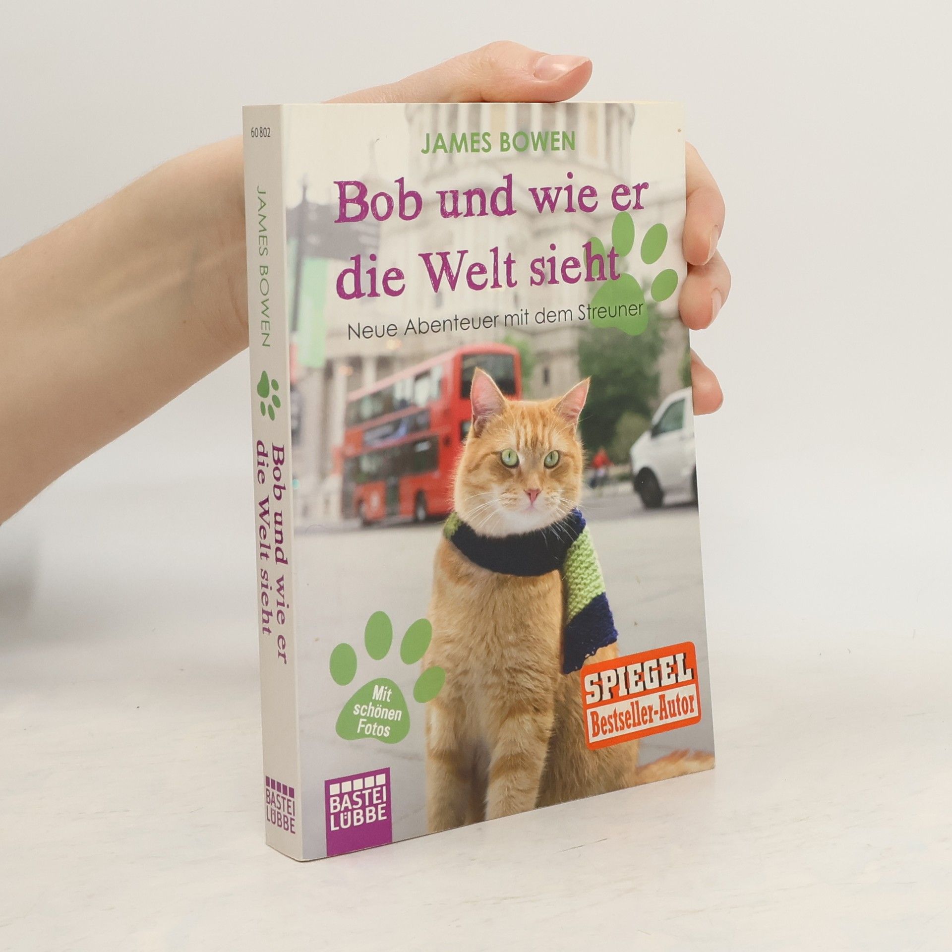 James Bowen Bob und wie er die Welt sieht