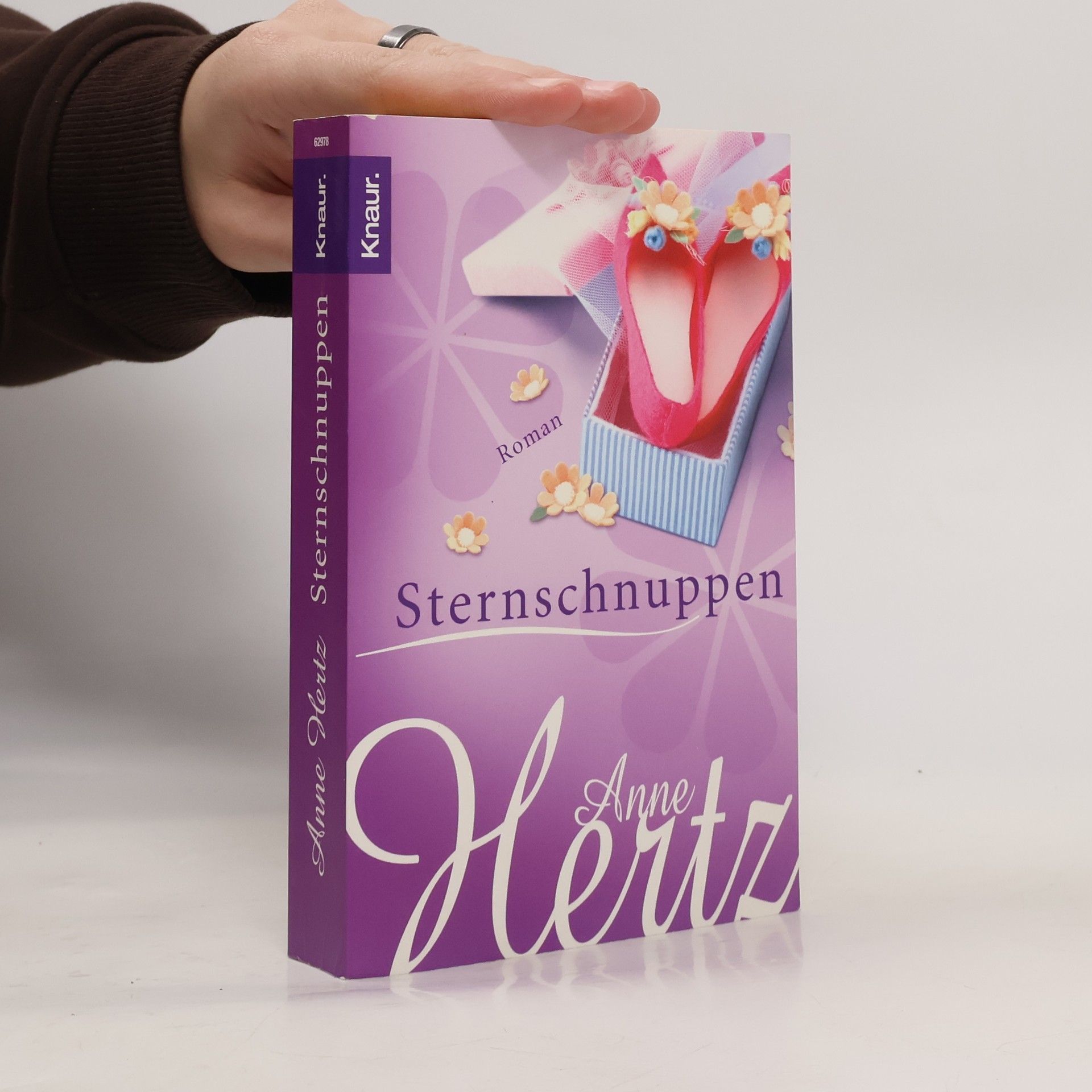 Anne Hertz Sternschnuppen