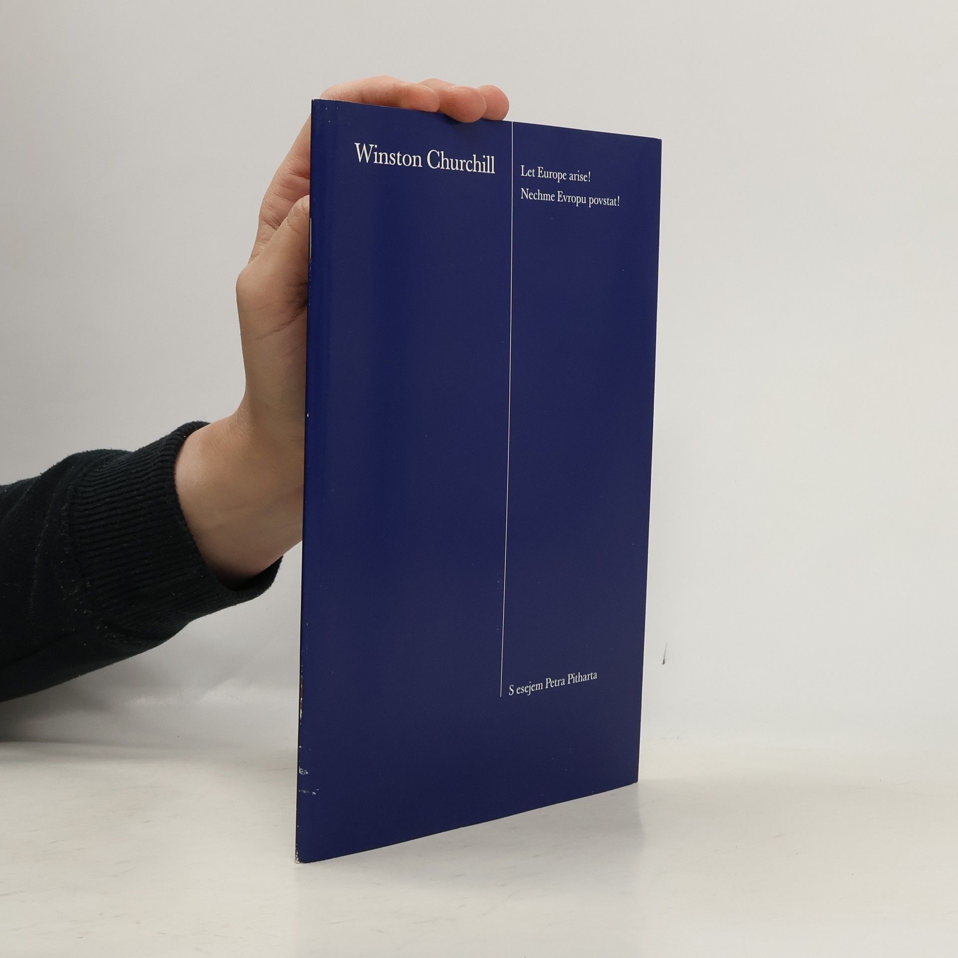 Winston S. Churchill Let Europe arise!