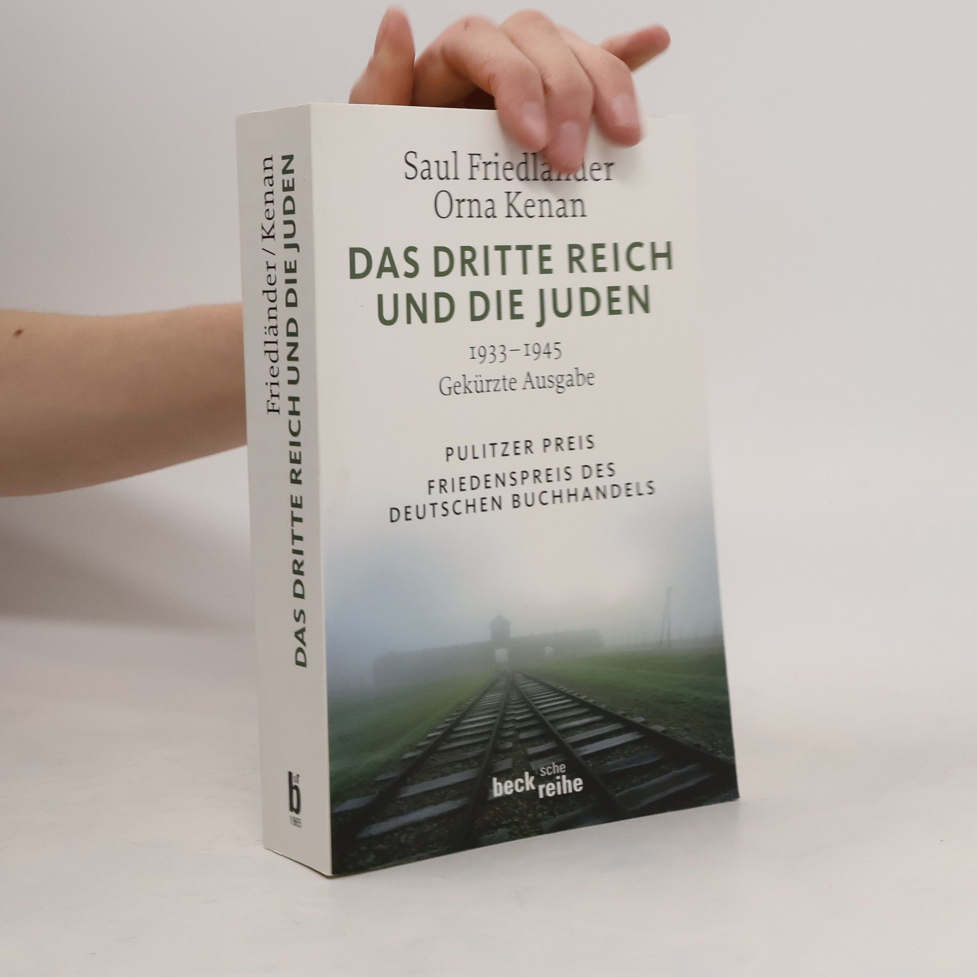 Das Dritte Reich und die Juden