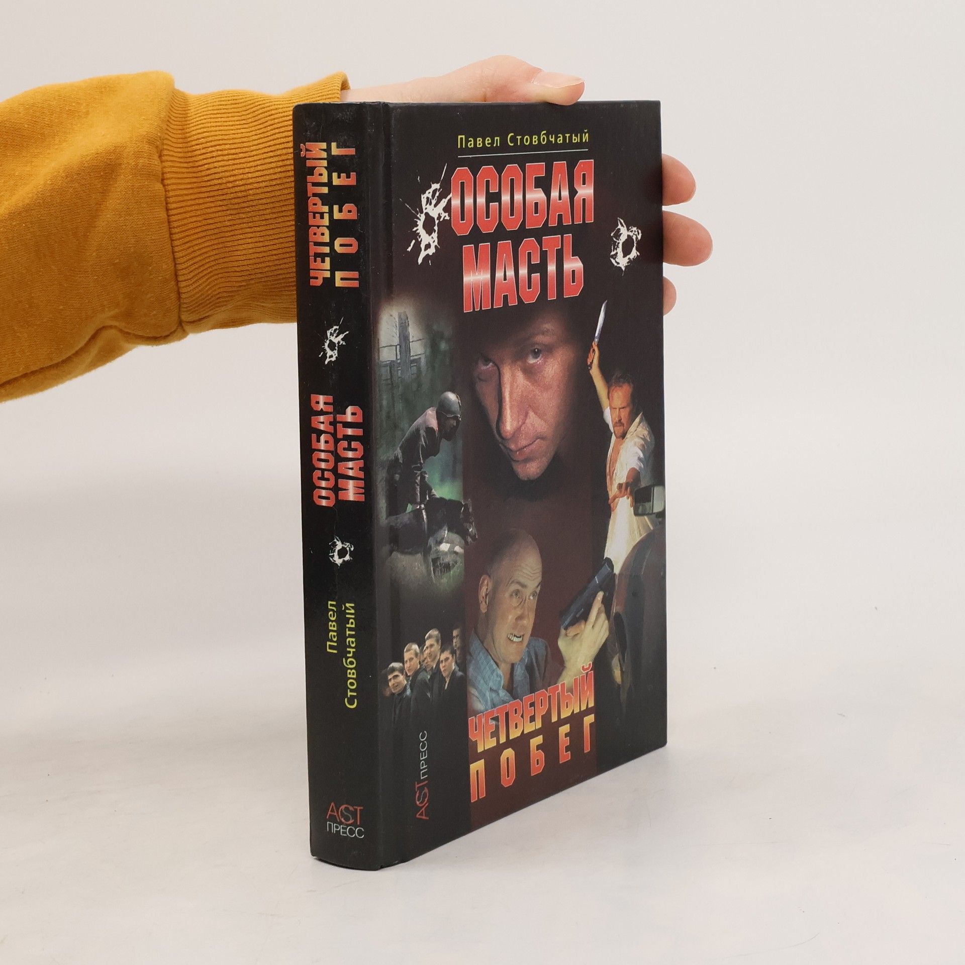 Павел Стовбчатый Особая масть. Четвертый побег