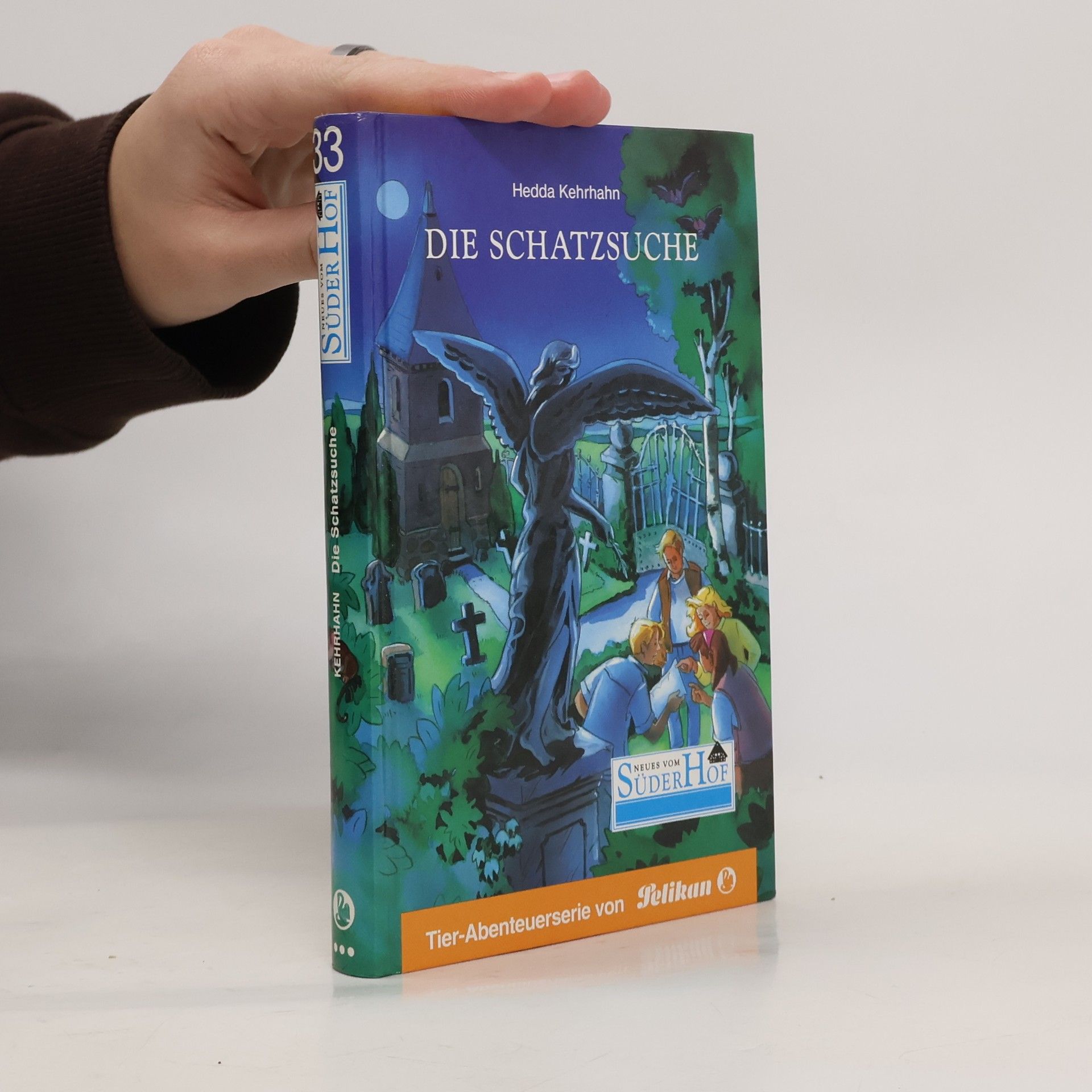Hedda Kehrhahn Neues vom Süderhof - 33: Die Schatzsuche