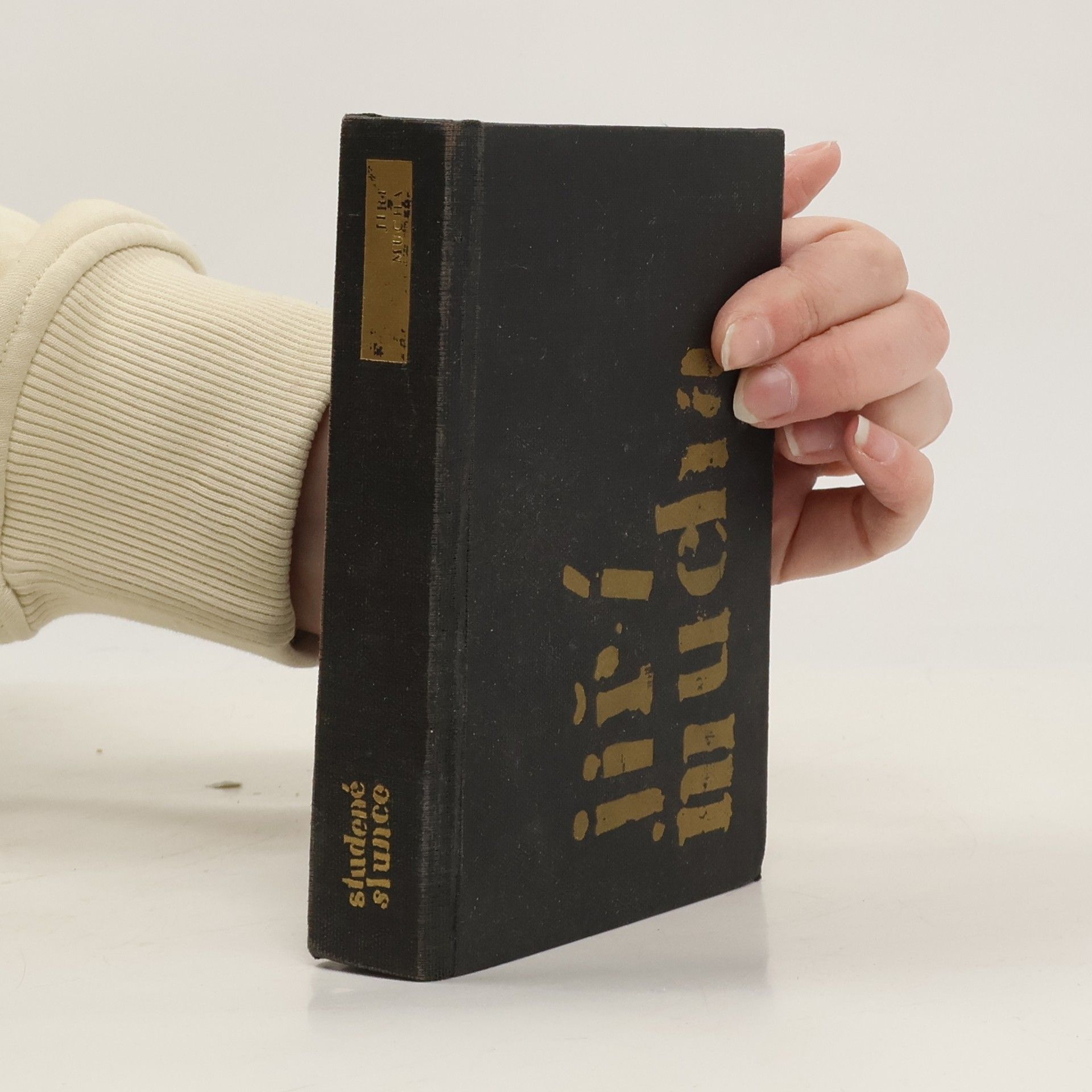 Jiří Mucha Studené slunce