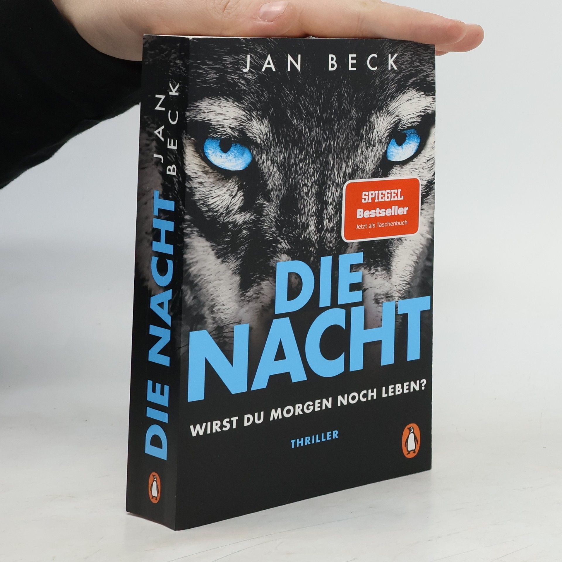 Jan Beck Die Nacht. Wirst du morgen noch leben?