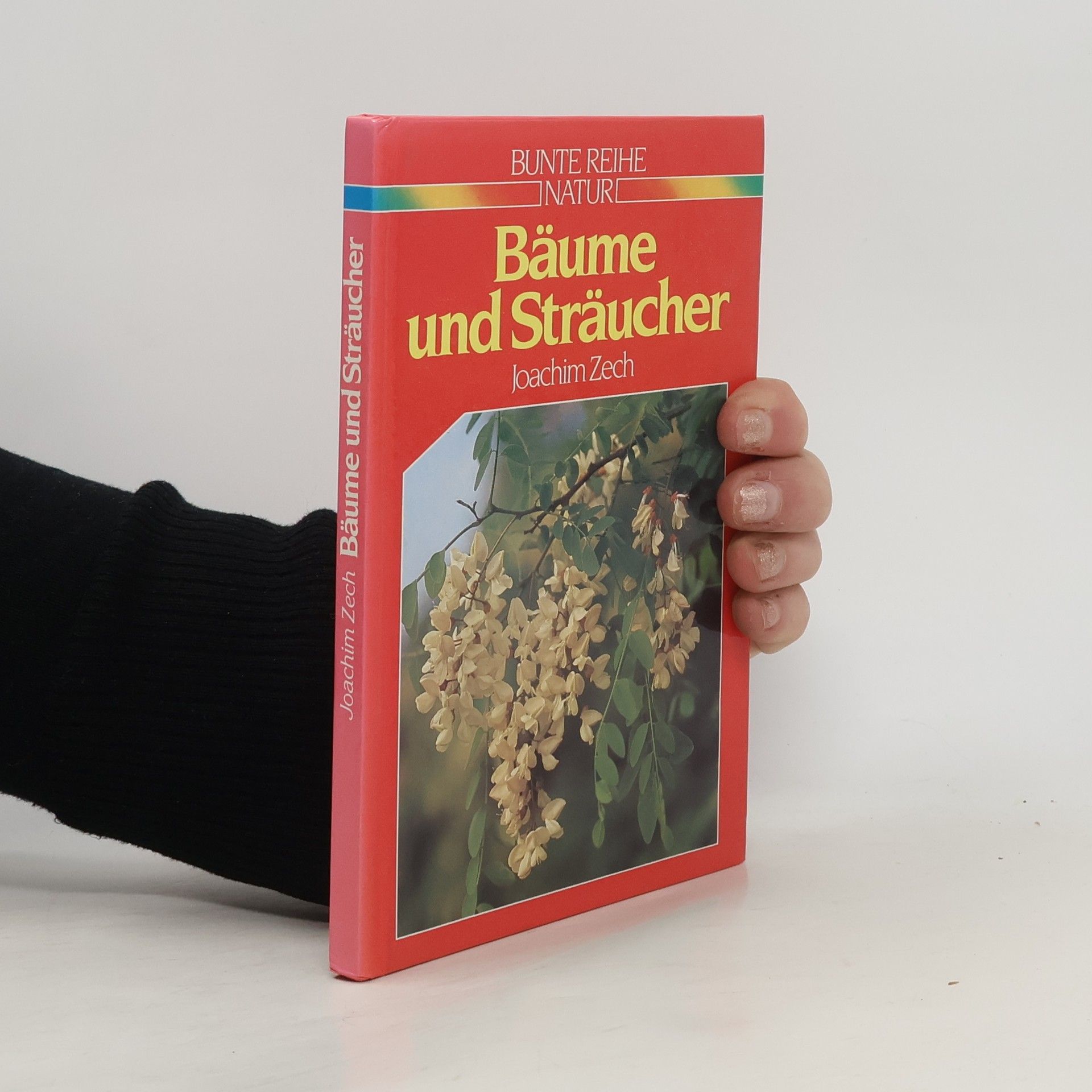 Joachim Zech Bäume und Sträucher