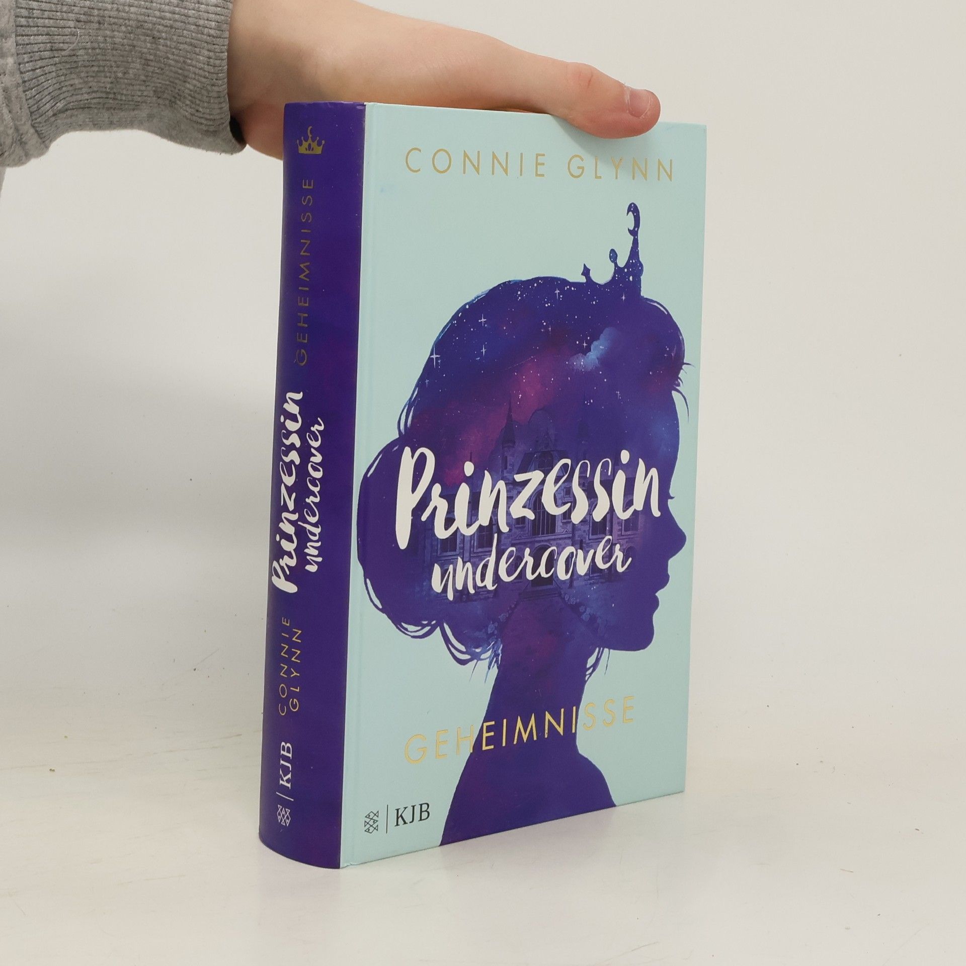 Connie Glynn Prinzessin undercover. Geheimnisse