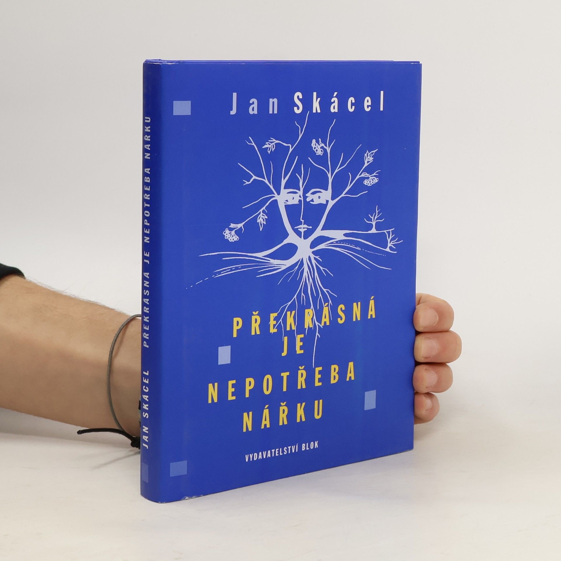 Překrásná je nepotřeba nářku