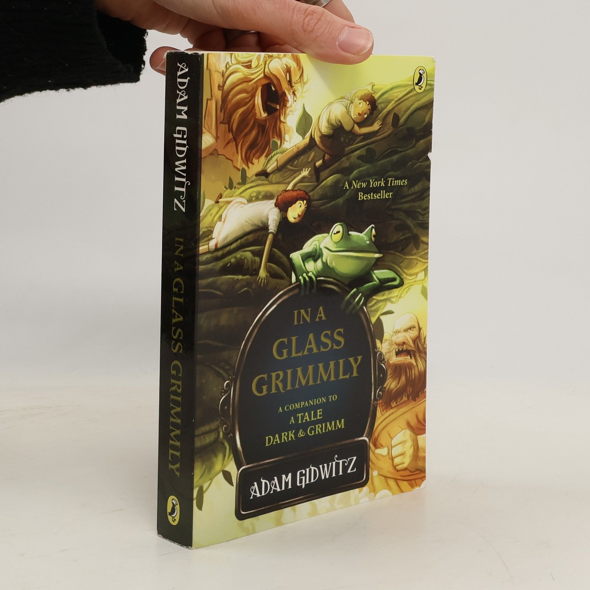 In a Glass Grimmly: A Companion to a Tale Dark & Grimm