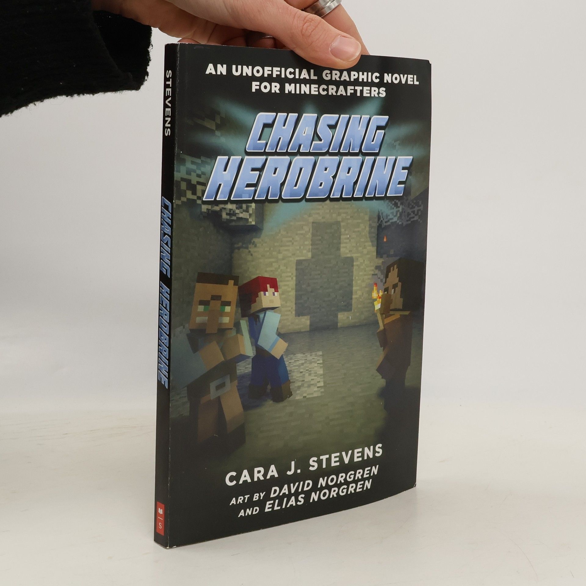 An Unofficial Graphic Novel for Minecrafters