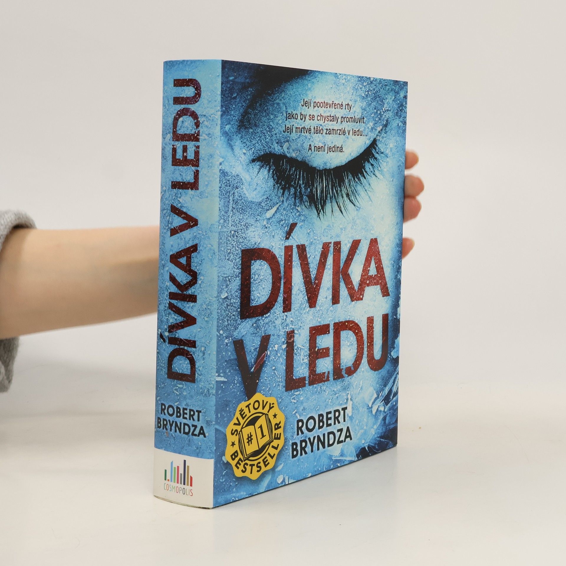 Robert Bryndza Dívka v ledu