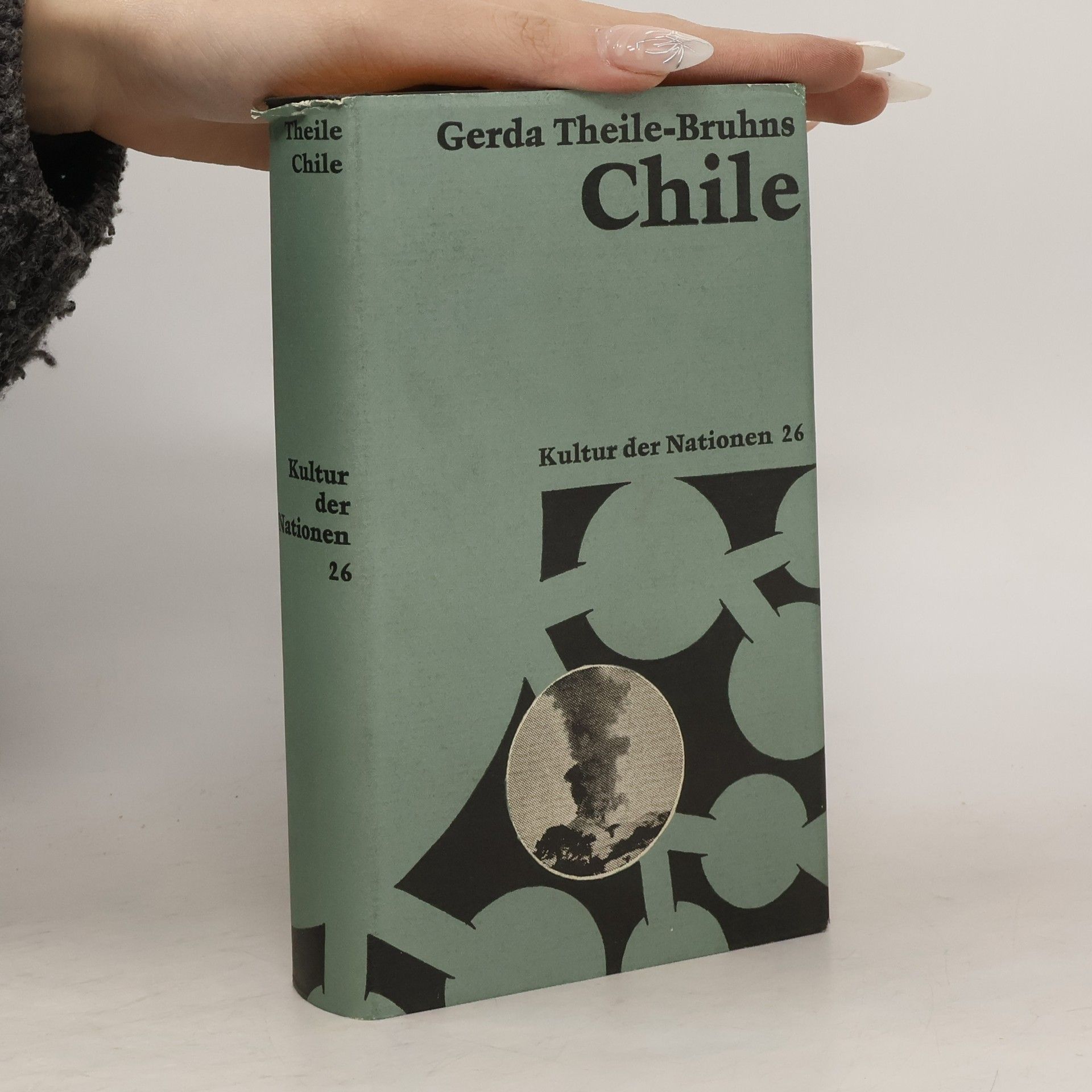 Gerda Theile-Bruhns Chile