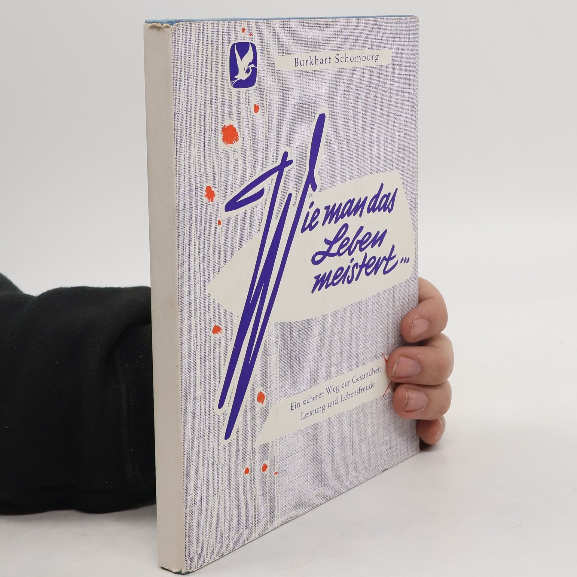 Burkhart Schomburg Wie man das Leben meistert