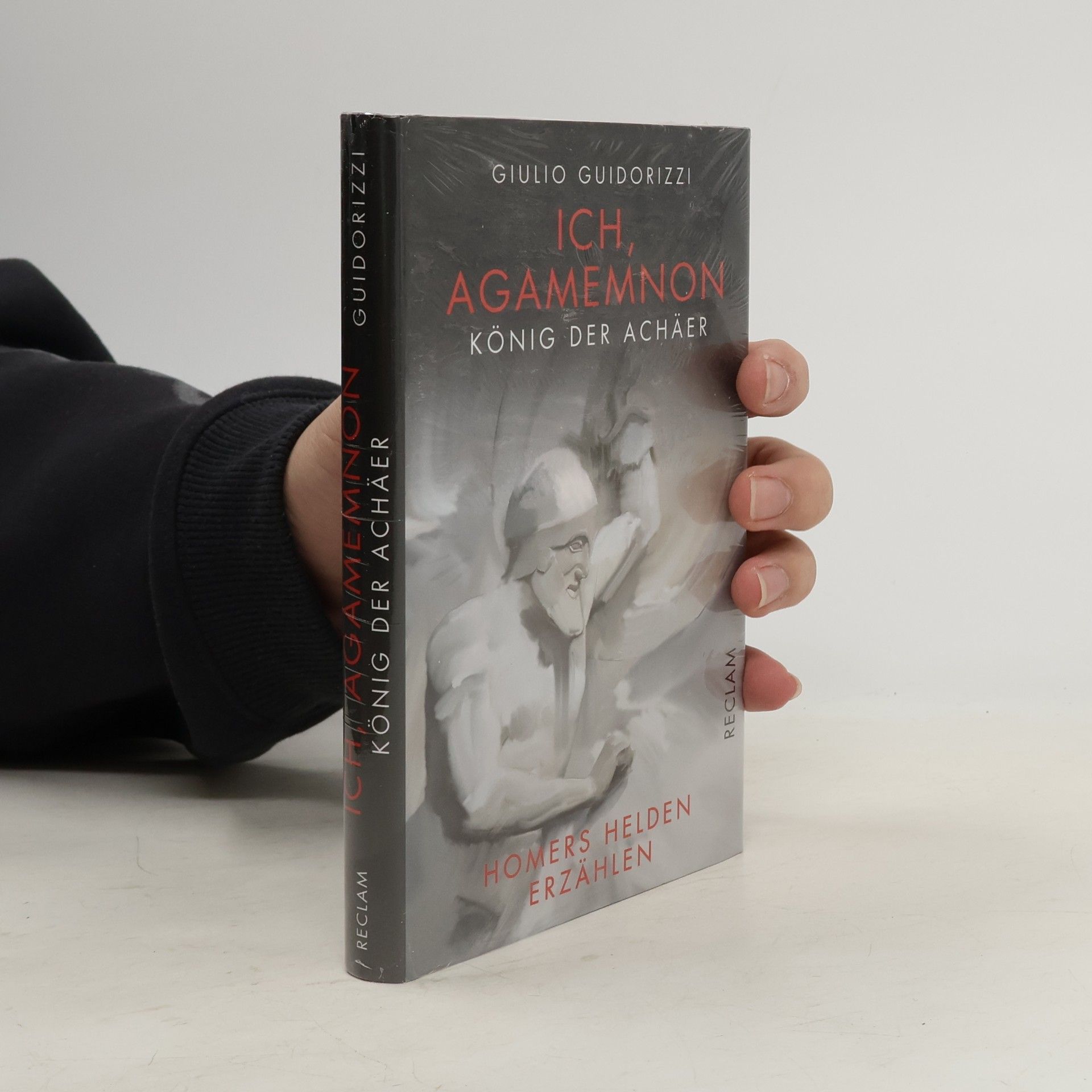 Giulio Guidorizzi Ich, Agamemnon, König der Achäer