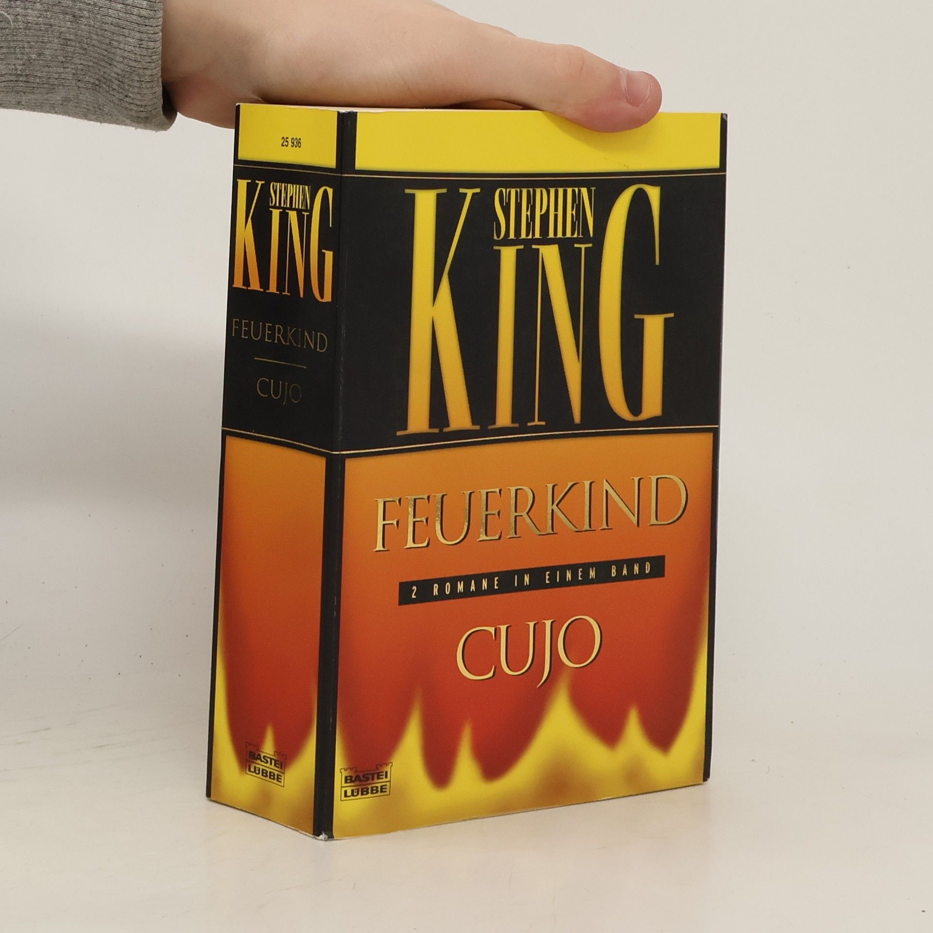 Stephen King Feuerkind. Cujo. Zwei Romane in einem Band