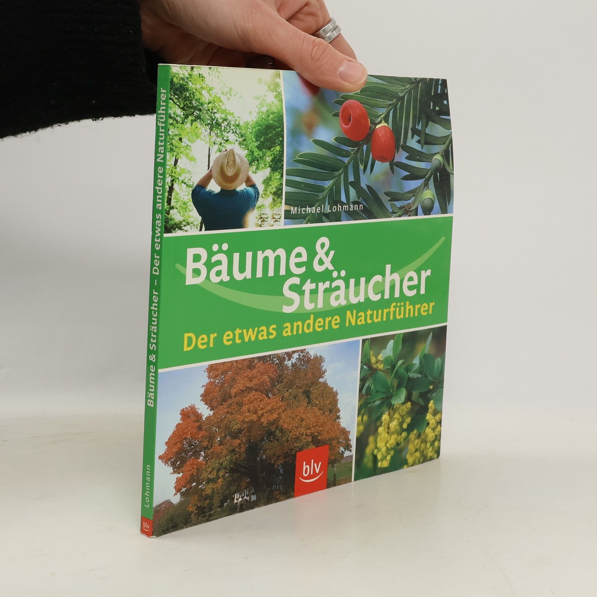 Michael Lohmann Bäume & Sträucher