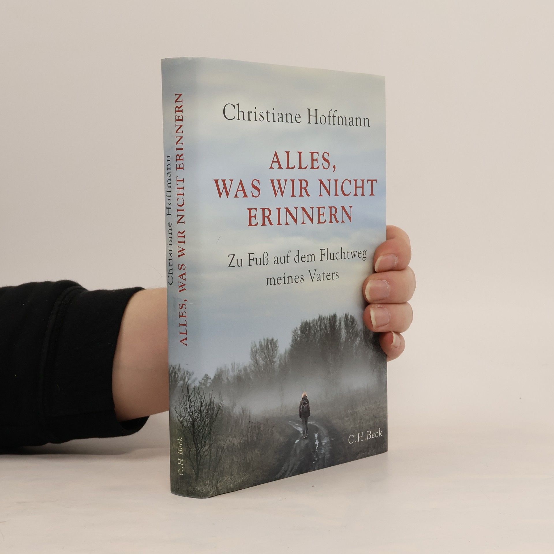 Christiane Hoffmann Alles, was wir nicht erinnern
