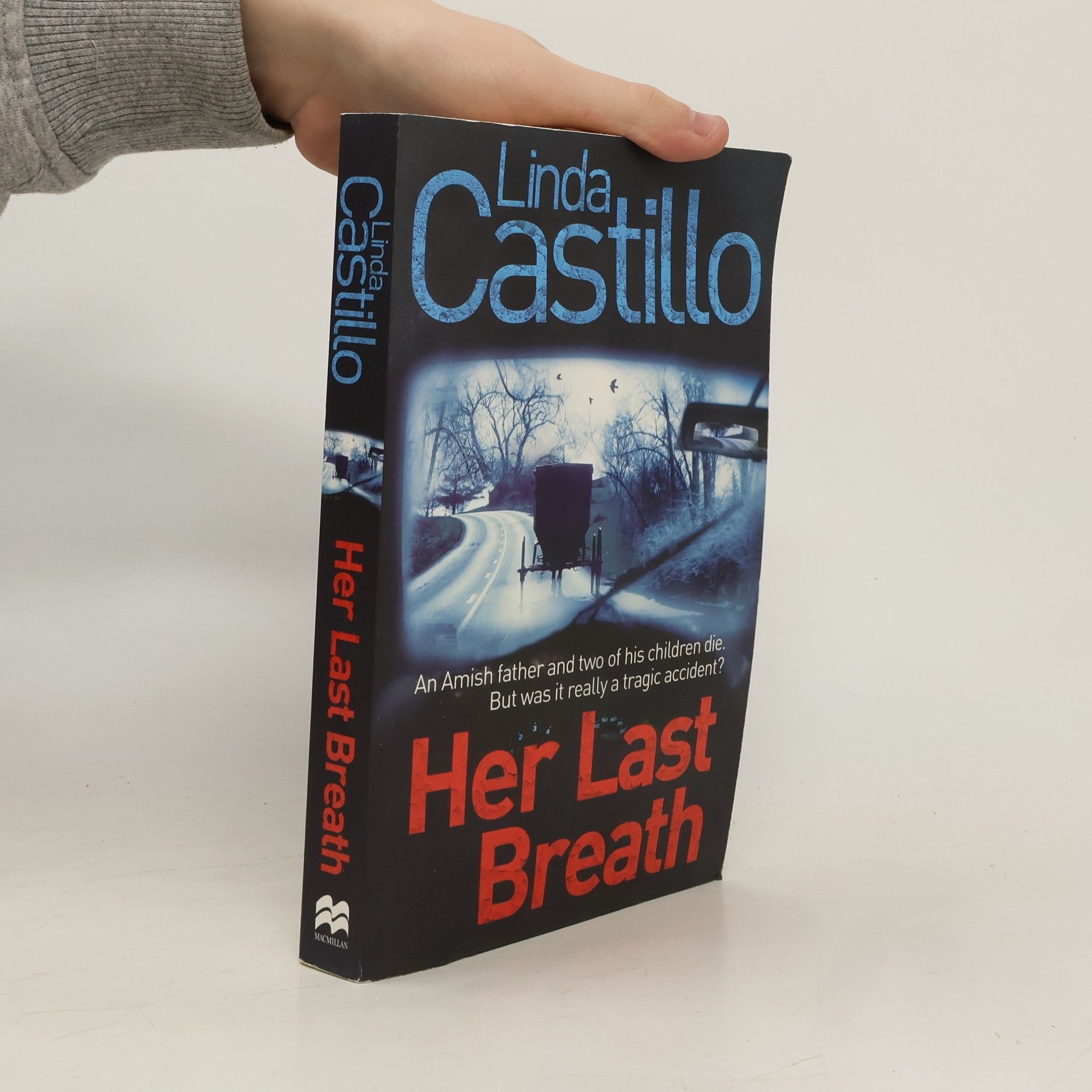 Linda Castillo Her Last Breath