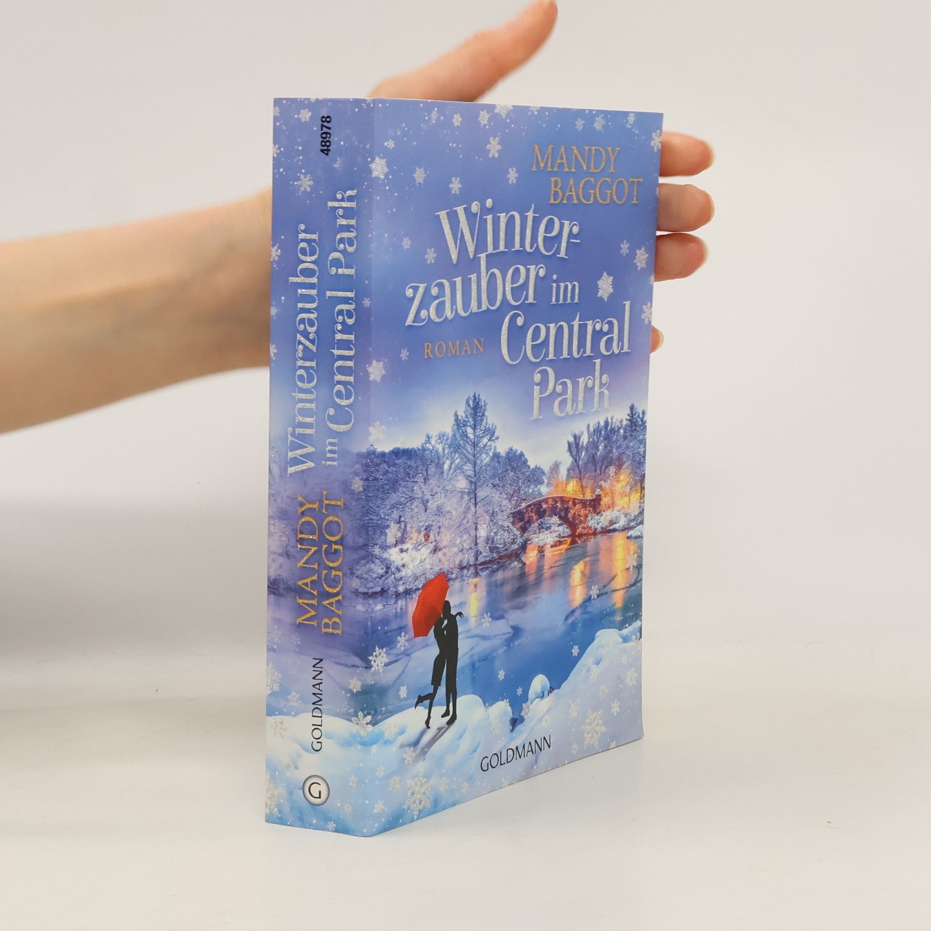 Mandy Baggot Winterzauber im Central Park