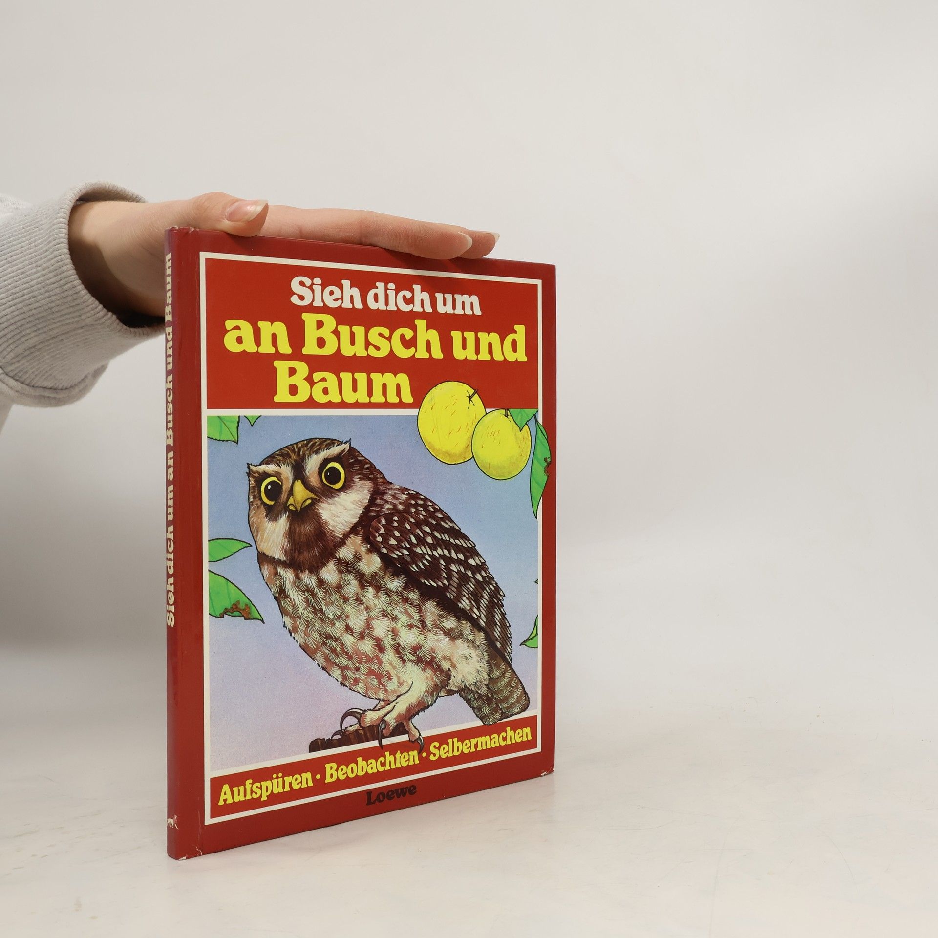 Michael Chinery Sieh dich um an Busch und Baum