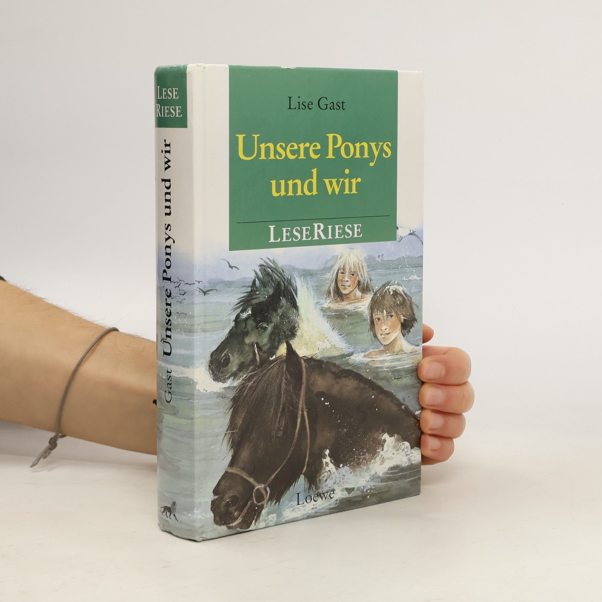 Lise Gast Unsere Ponys und wir