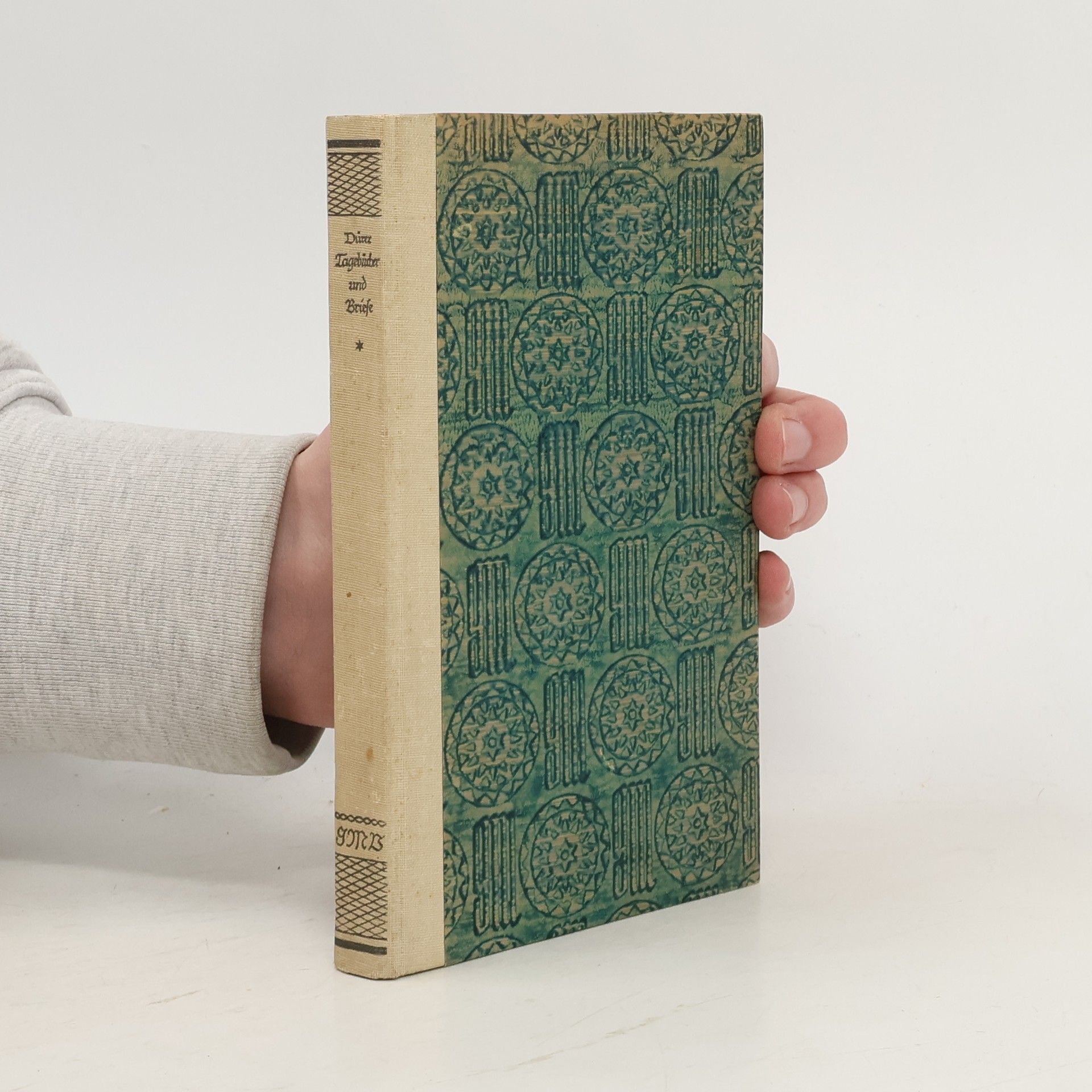 Albrecht Dürer Tagebücher und Briefe