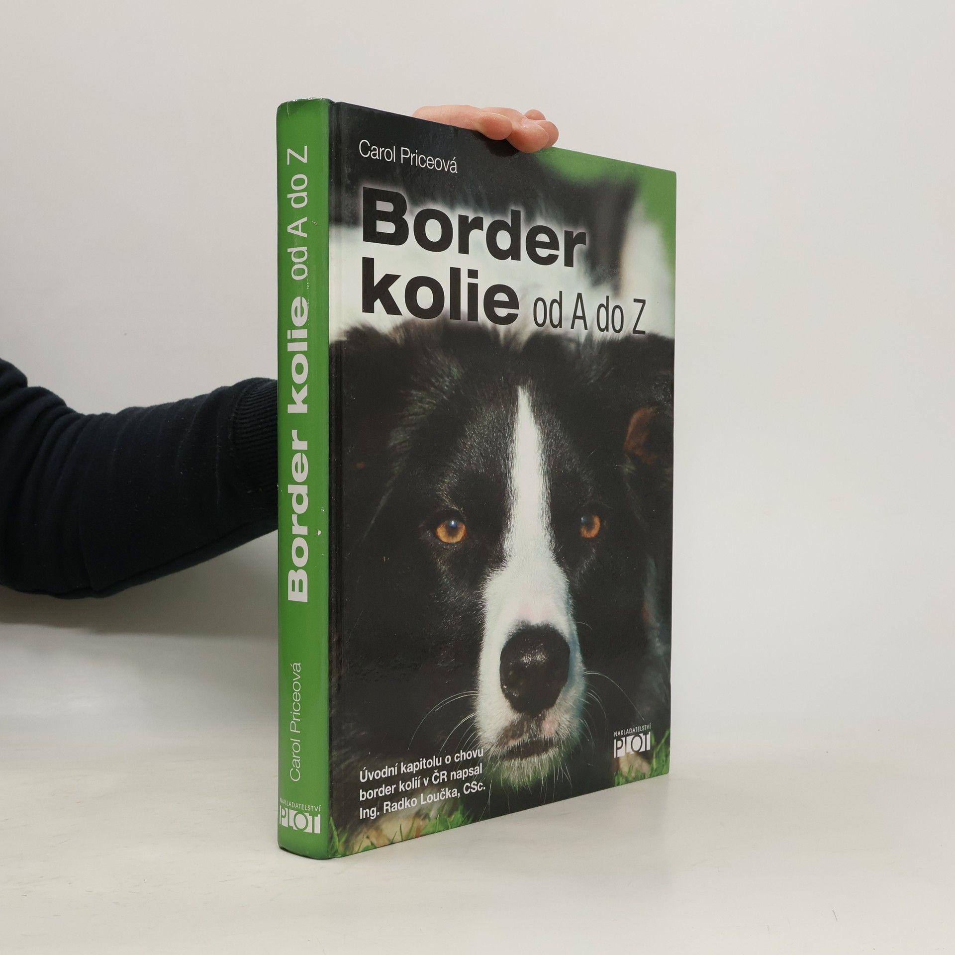 Border kolie od A do Z