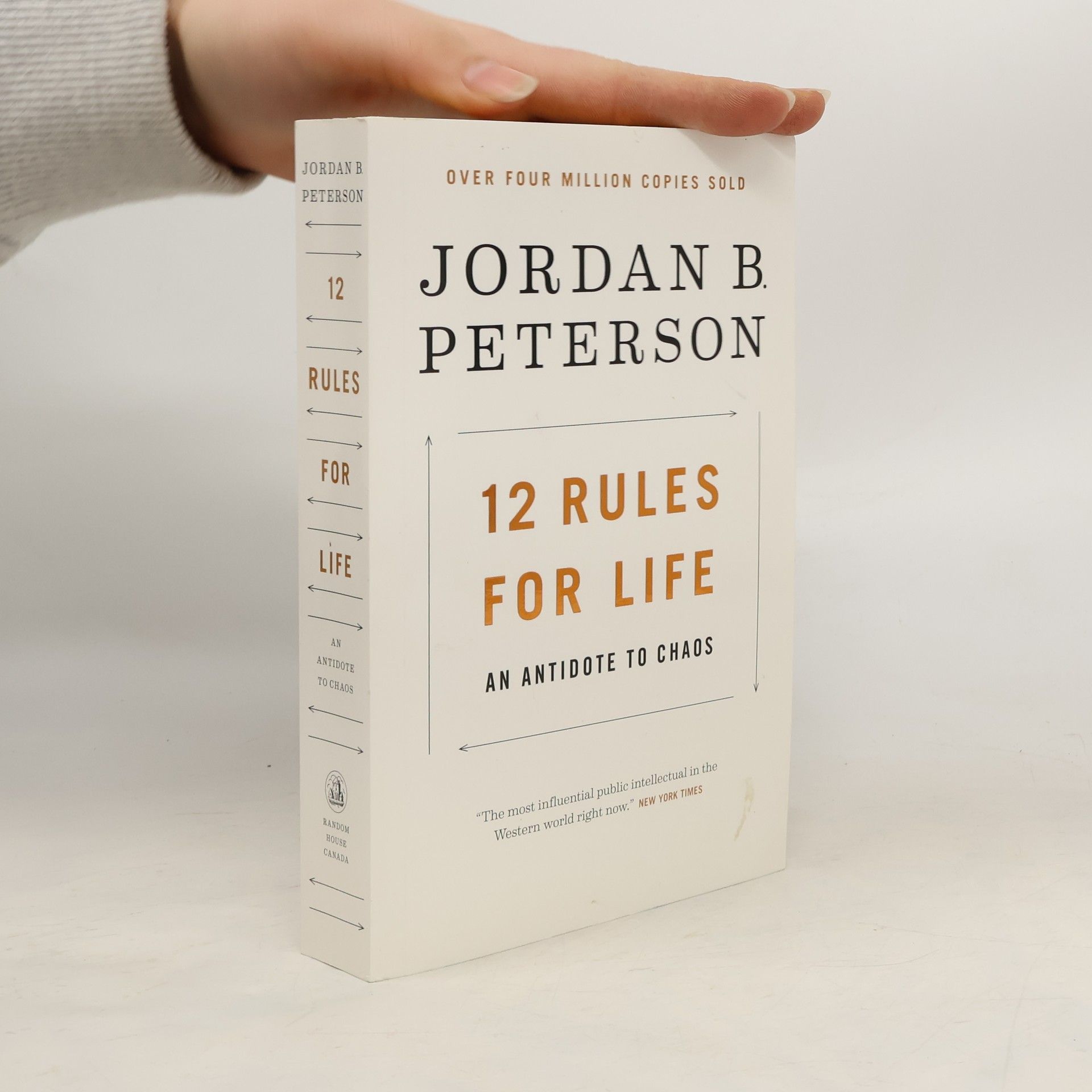 Jordan Peterson 12 Rules for Life